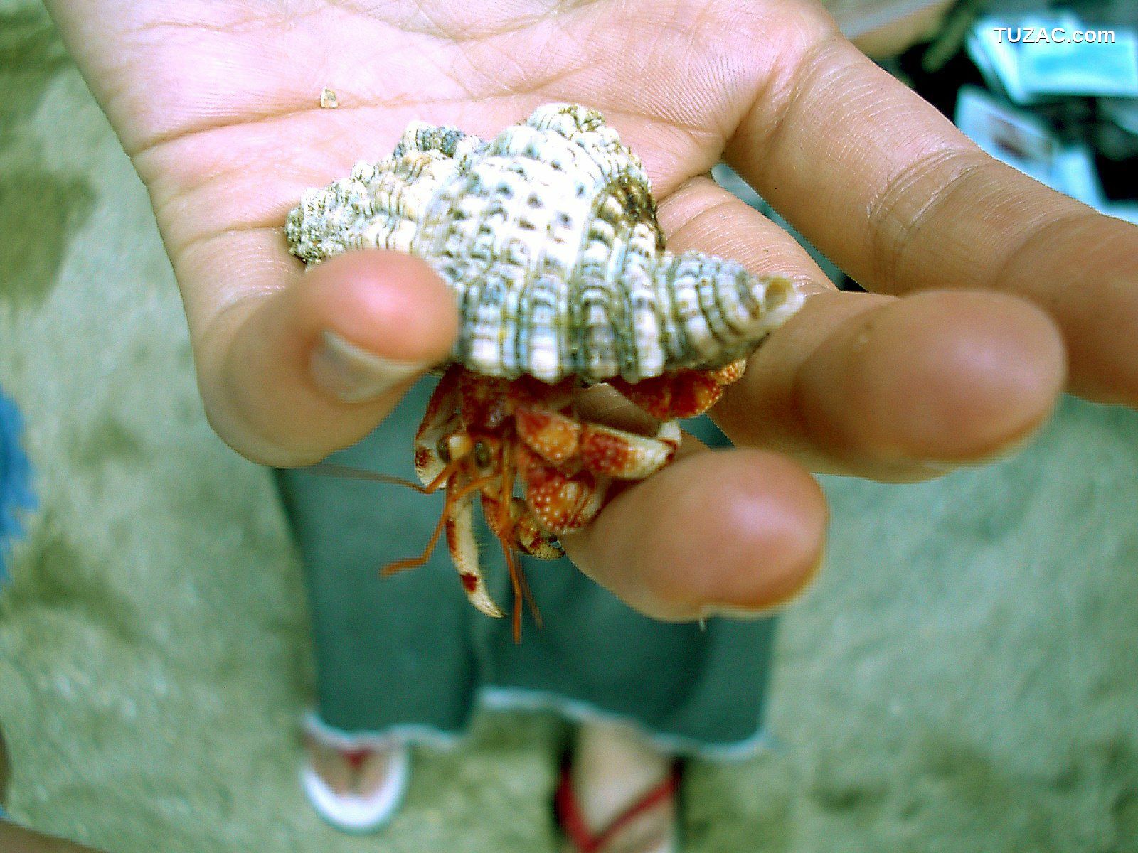 NS Eyes_ SF-No.084 Yuko Takeuchi 竹内結子 写真集[35P]