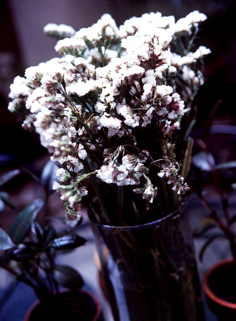 NS Eyes_ SF-No.089 Mayuko Yoshida 吉田真由子 写真集[29P]