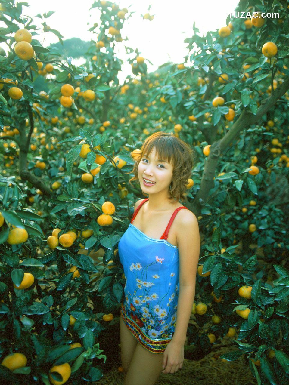 NS Eyes_ SF-No.110 Asumi Kato 加藤明日美/加藤瑛子 写真集[34P]