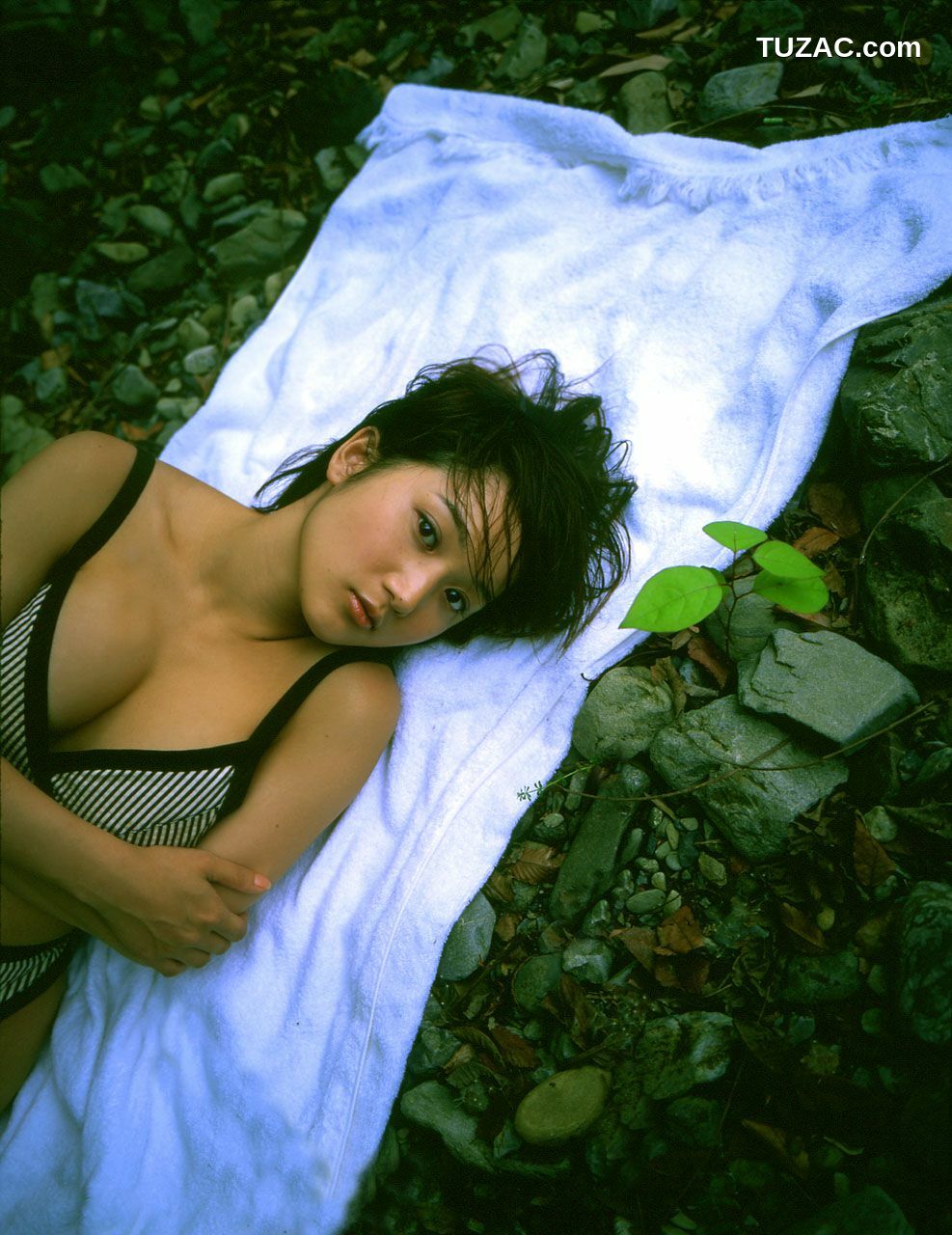 NS Eyes_ SF-No.111 Risa Tani 谷理沙 写真集[39P]