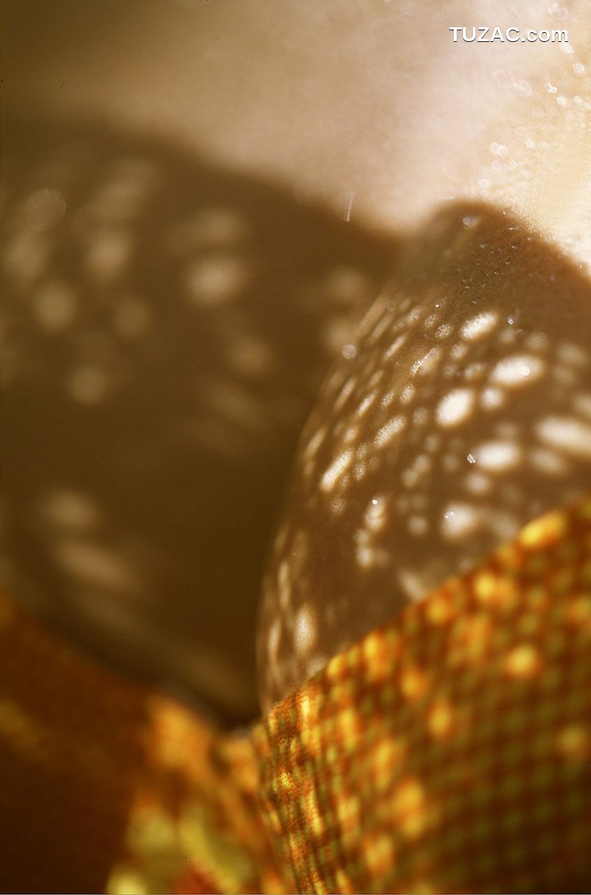 NS Eyes_ SF-No.141 Miyuki Sakai 酒井美雪 写真集[30P]