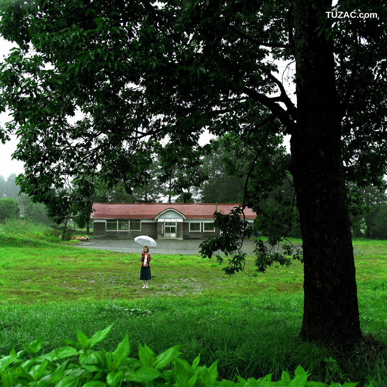 NS Eyes_ SF-No.155 Rena Tanaka 田中麗奈/田中丽奈 写真集[32P]