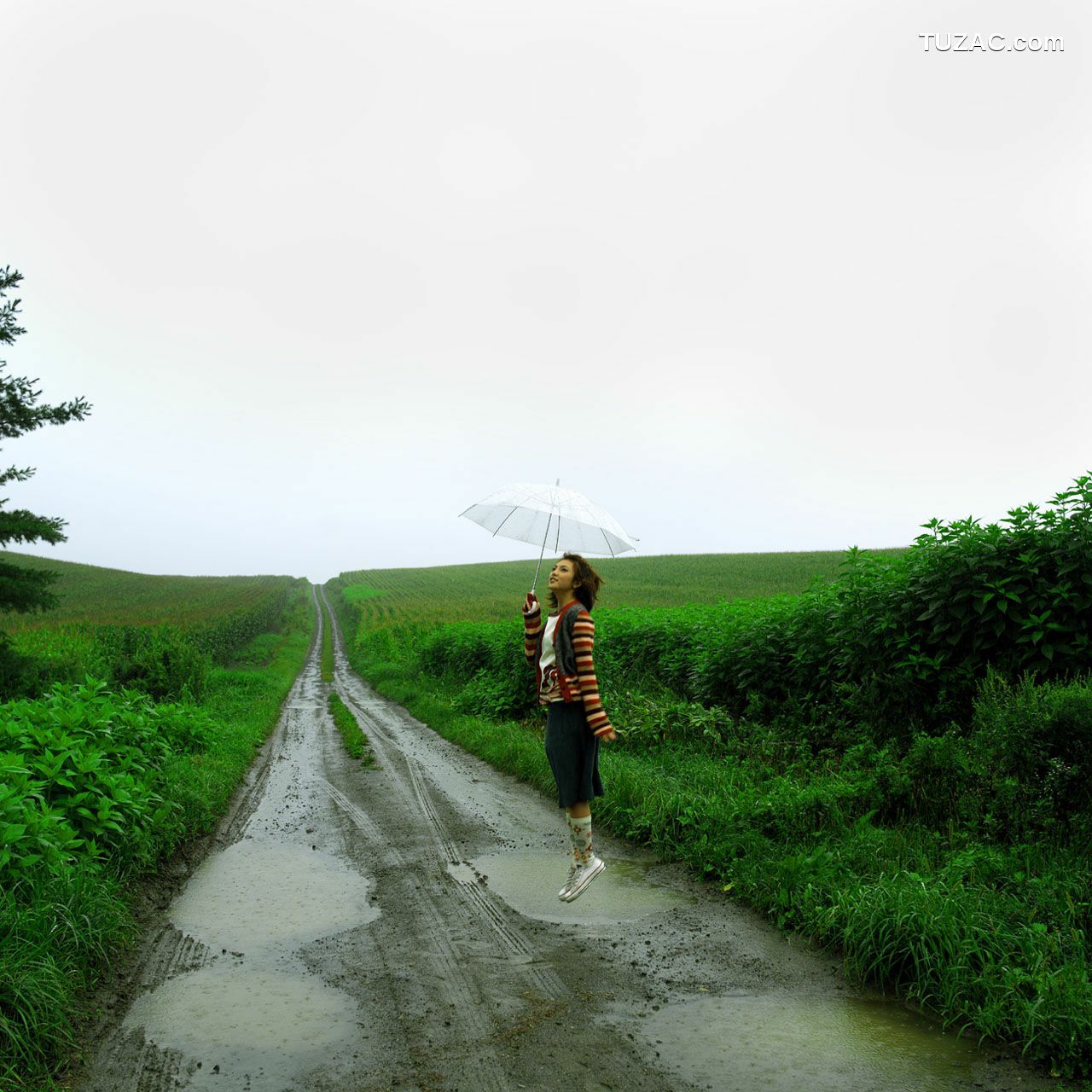 NS Eyes_ SF-No.155 Rena Tanaka 田中麗奈/田中丽奈 写真集[32P]