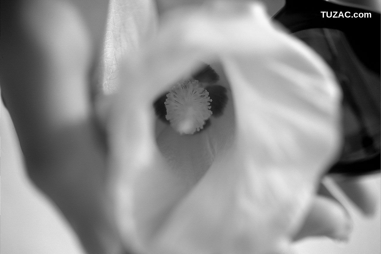 NS Eyes_ SF-No.161 Erika Ito 伊藤繪理香 写真集[51P]