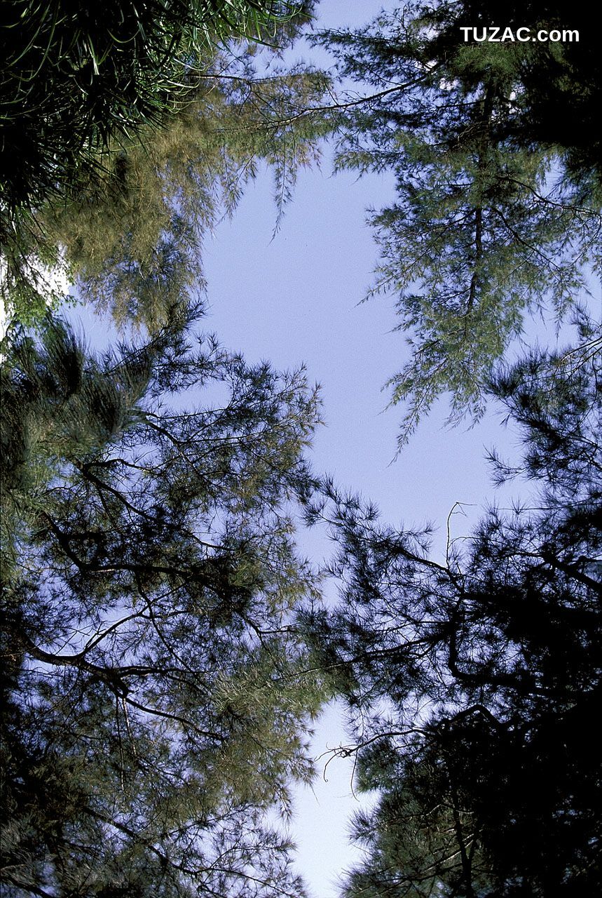 NS Eyes_ SF-No.162 Natsuki Harada 原田夏希 写真集[51P]