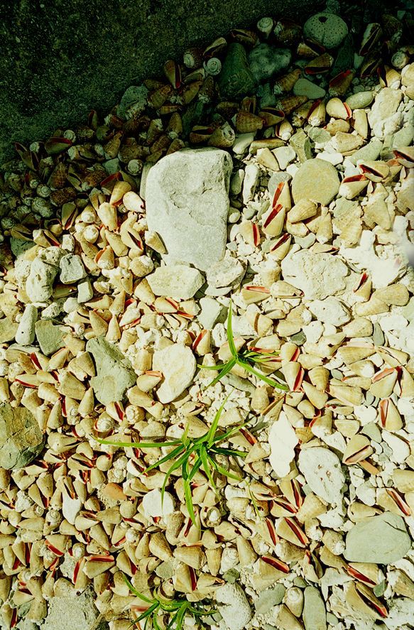 NS Eyes_ SF-No.163 Moemi Tominaga 冨永萌美 写真集[32P]