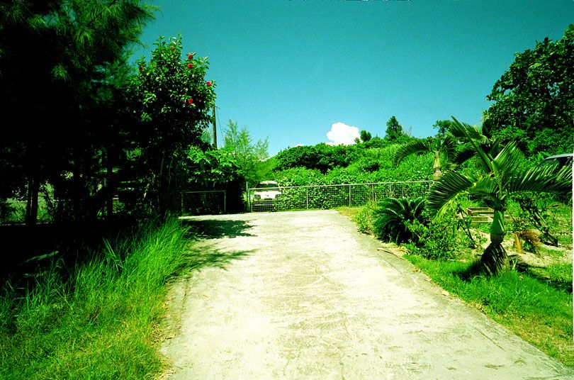 NS Eyes_ SF-No.170 Moemi Tominaga 冨永萌美/富永萌美 -UNDERAGE! 写真集[40P]