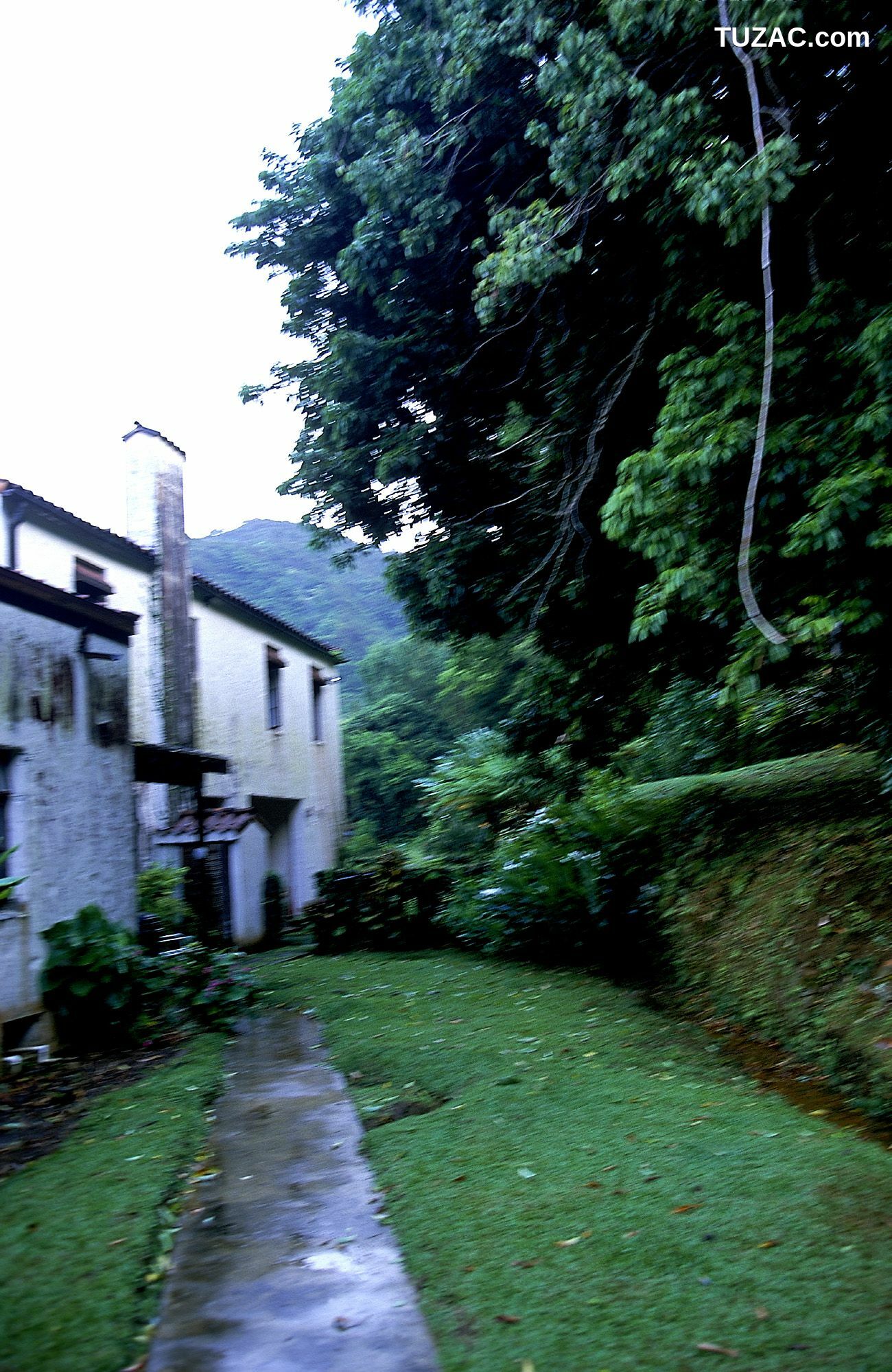 NS Eyes_ SF-No.181 Asuka Yanagi 柳明日香 写真集[70P]