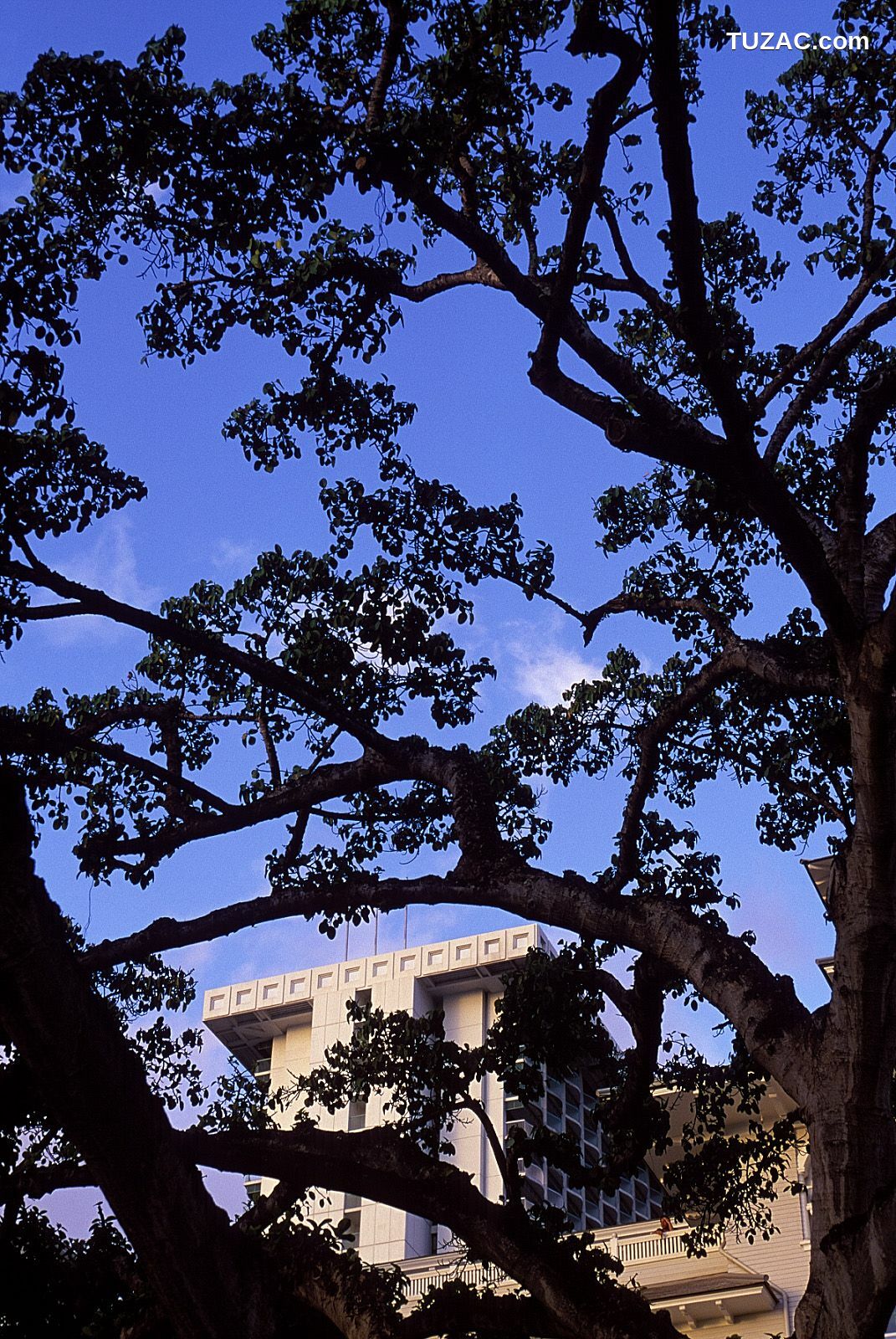 NS Eyes_ SF-No.181 Asuka Yanagi 柳明日香 写真集[70P]