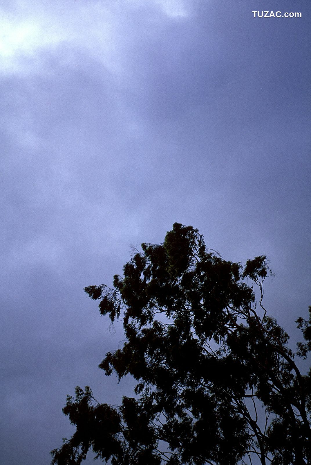 NS Eyes_ SF-No.181 Asuka Yanagi 柳明日香 写真集[70P]