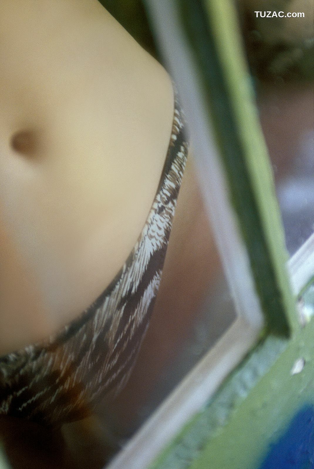 NS Eyes_ SF-No.182 Minori Kousaki 紅咲美乃里/波多野里美 写真集[74P]