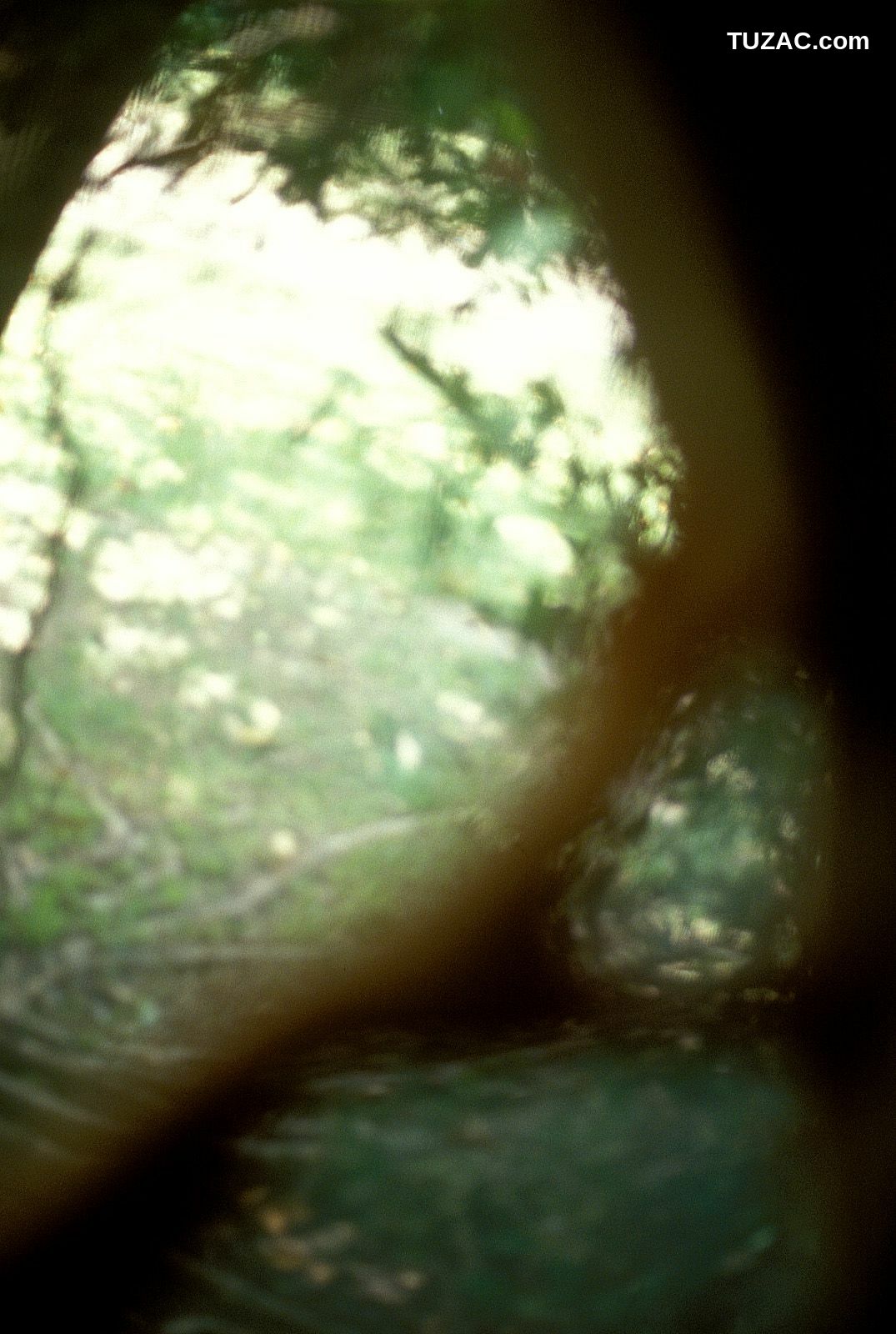 NS Eyes_ SF-No.182 Minori Kousaki 紅咲美乃里/波多野里美 写真集[74P]