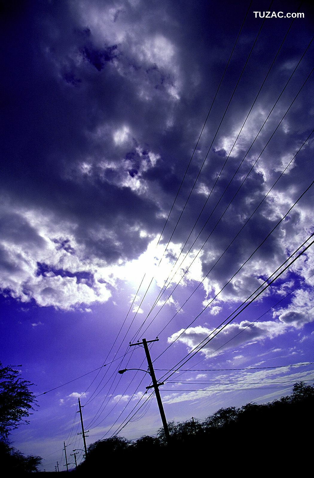 NS Eyes_ SF-No.185 Asuka Yanagi 柳明日香 写真集[63P]