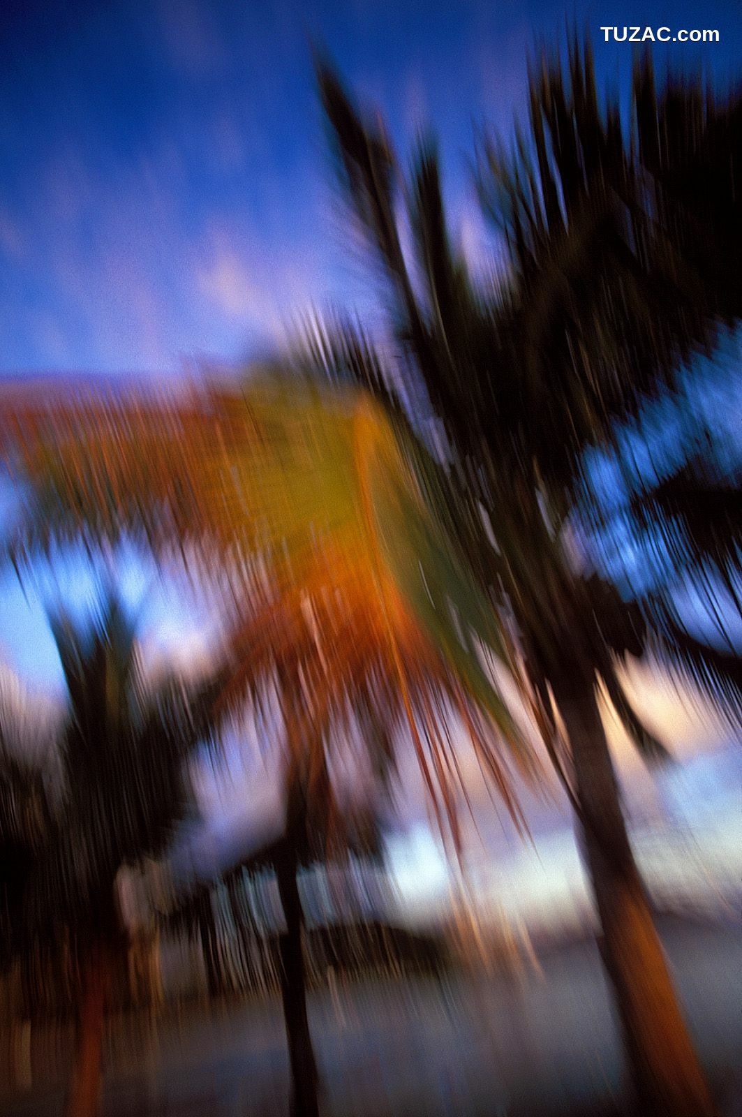 NS Eyes_ SF-No.185 Asuka Yanagi 柳明日香 写真集[63P]