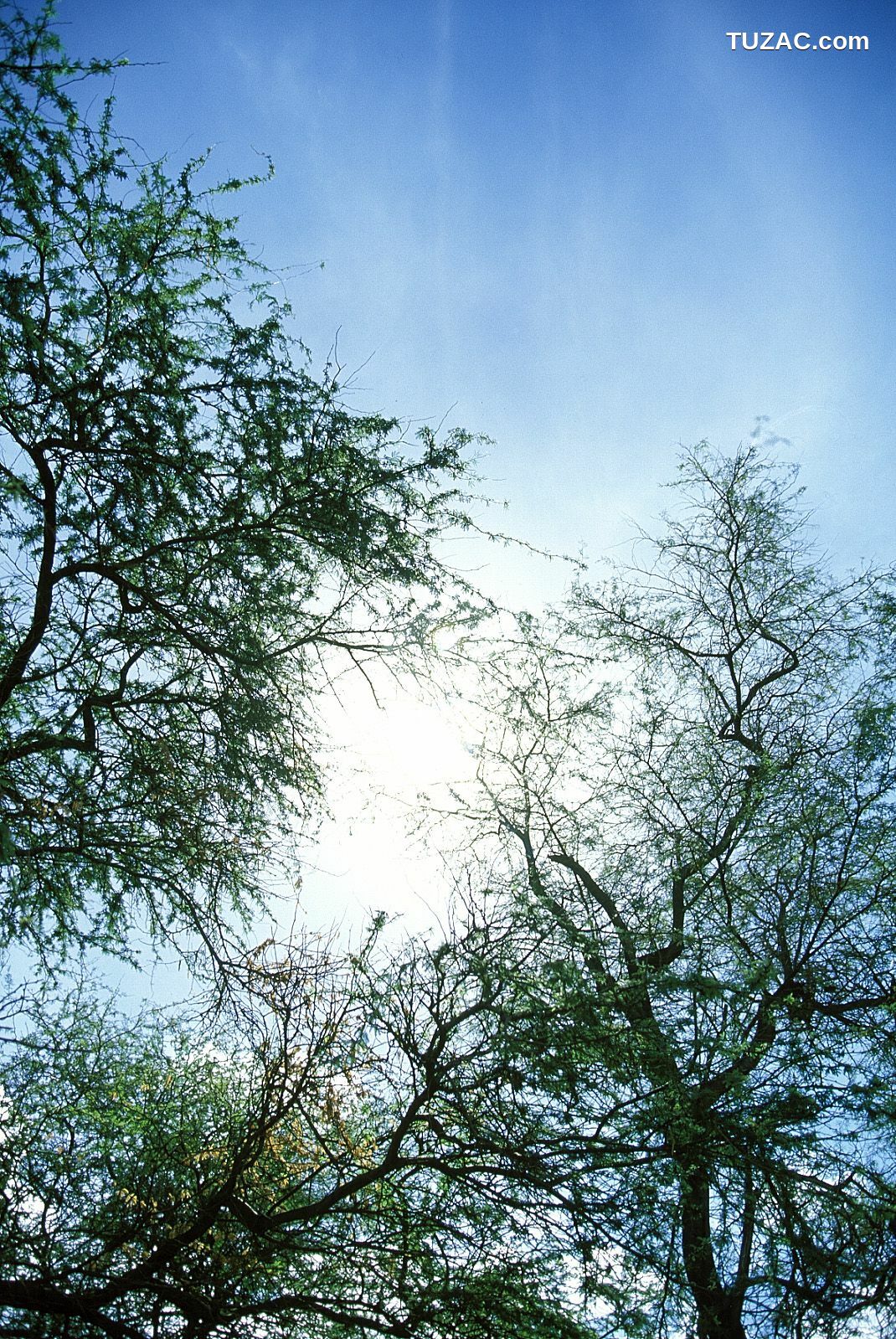 NS Eyes_ SF-No.185 Asuka Yanagi 柳明日香 写真集[63P]