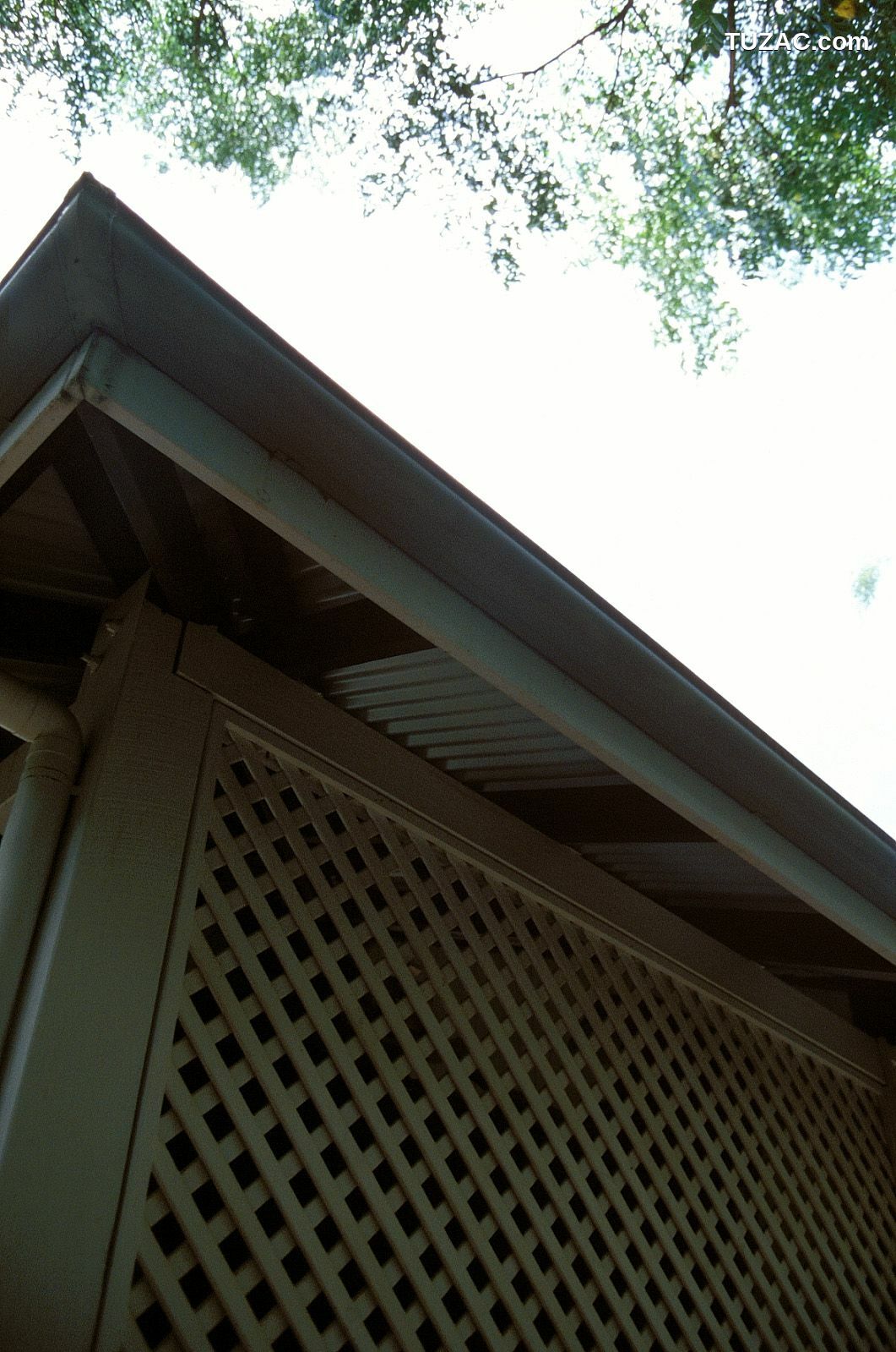 NS Eyes_ SF-No.186 Miyuu Inaba 稻葉美優/木村深華 写真集[68P]