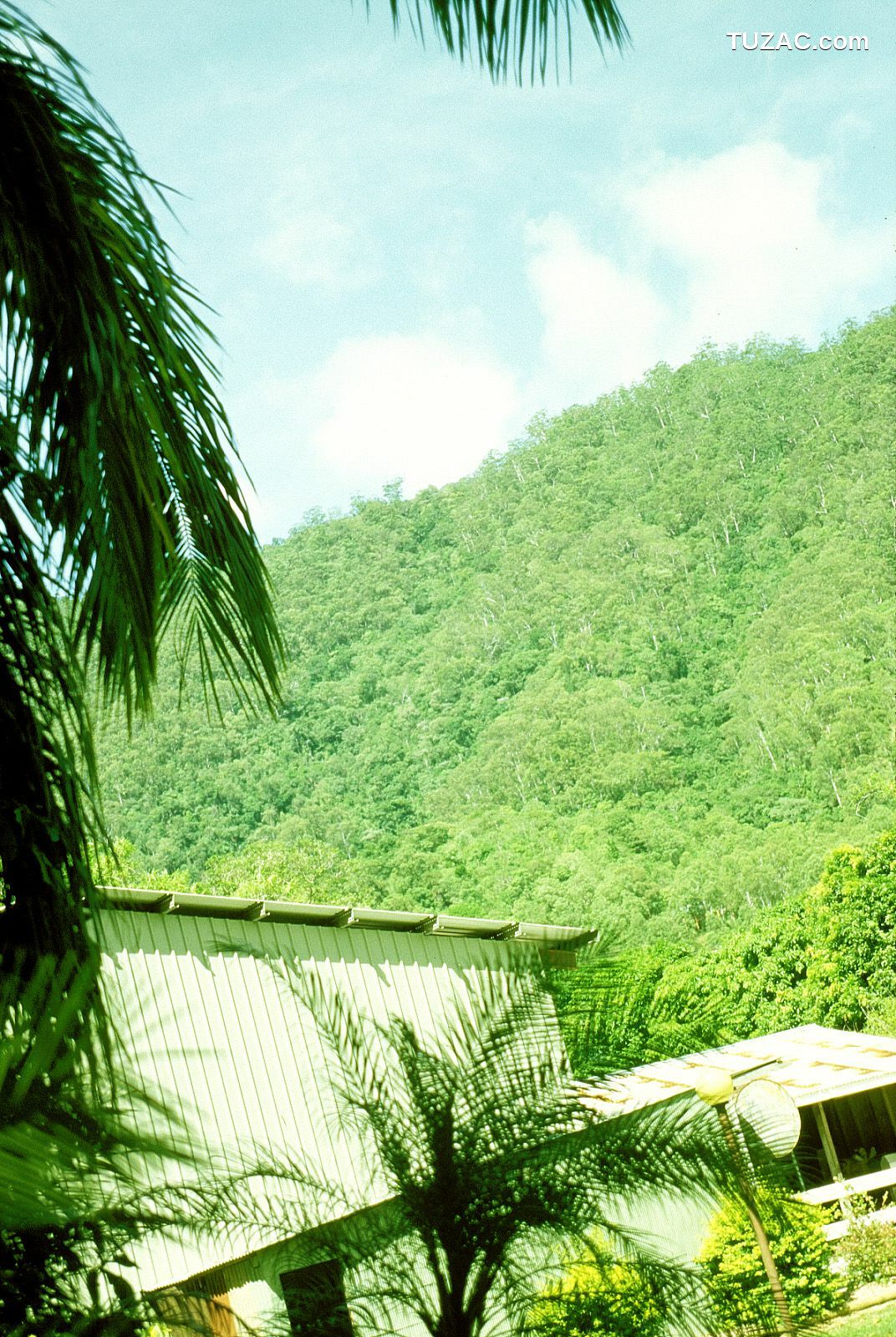 NS Eyes_ SF-No.186 Miyuu Inaba 稻葉美優/木村深華 写真集[68P]