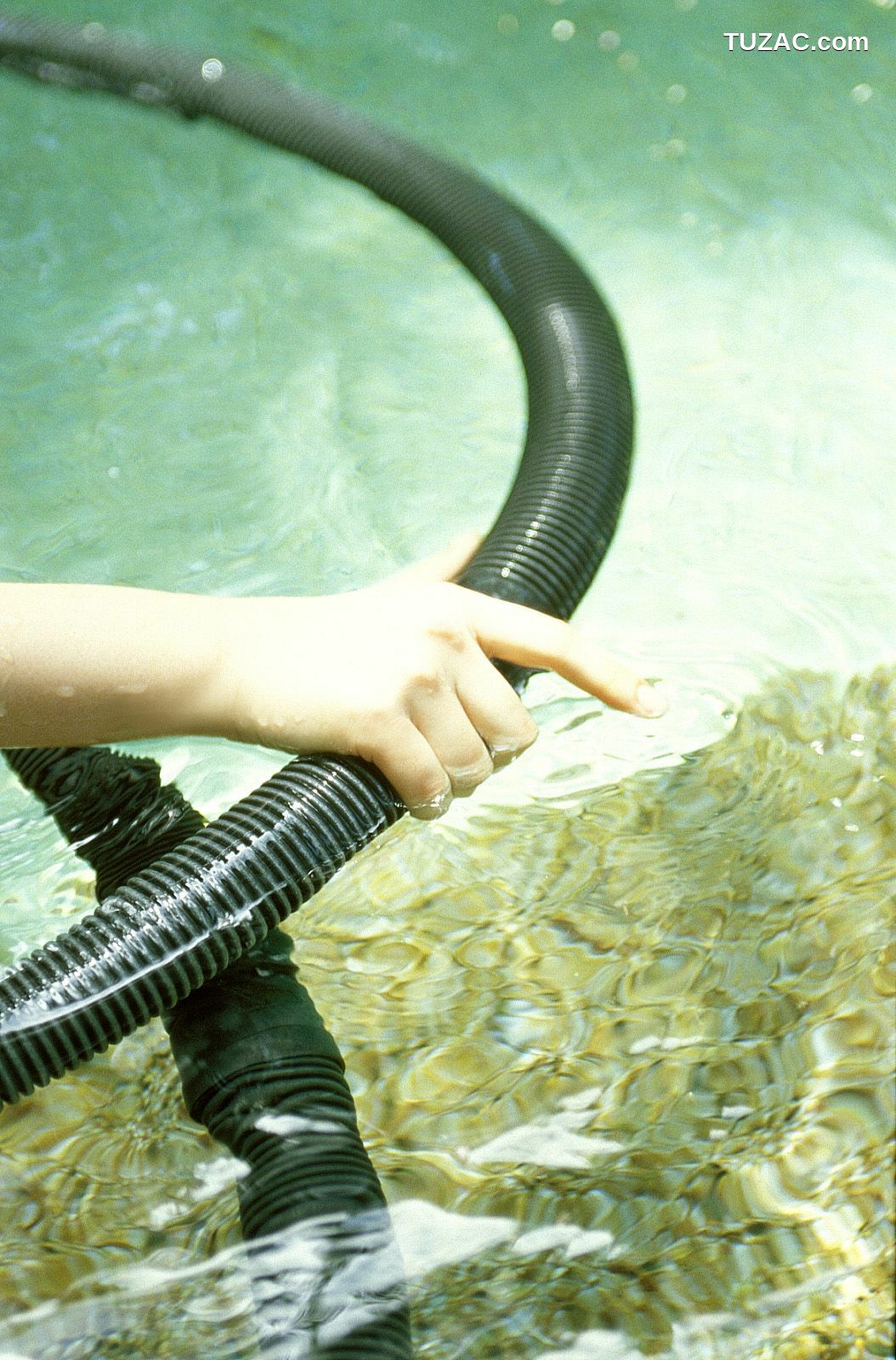 NS Eyes_ SF-No.186 Miyuu Inaba 稻葉美優/木村深華 写真集[68P]