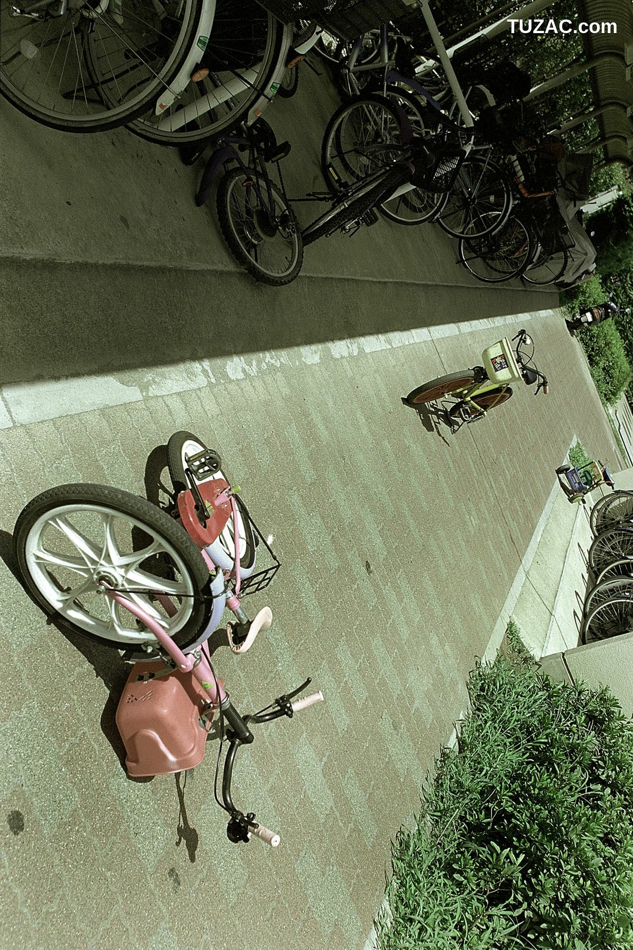 NS Eyes_ SF-No.198 Rina Uchiyama 内山理名 写真集[79P]