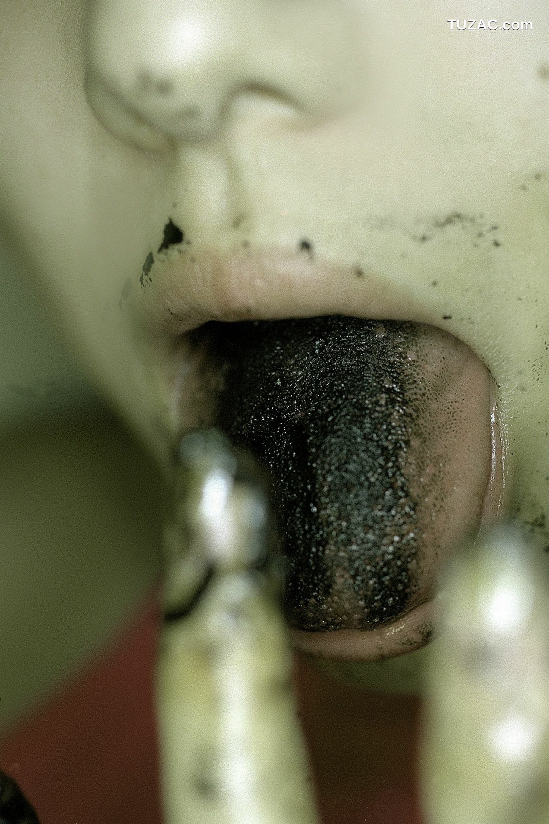 NS Eyes_ SF-No.198 Rina Uchiyama 内山理名 写真集[79P]