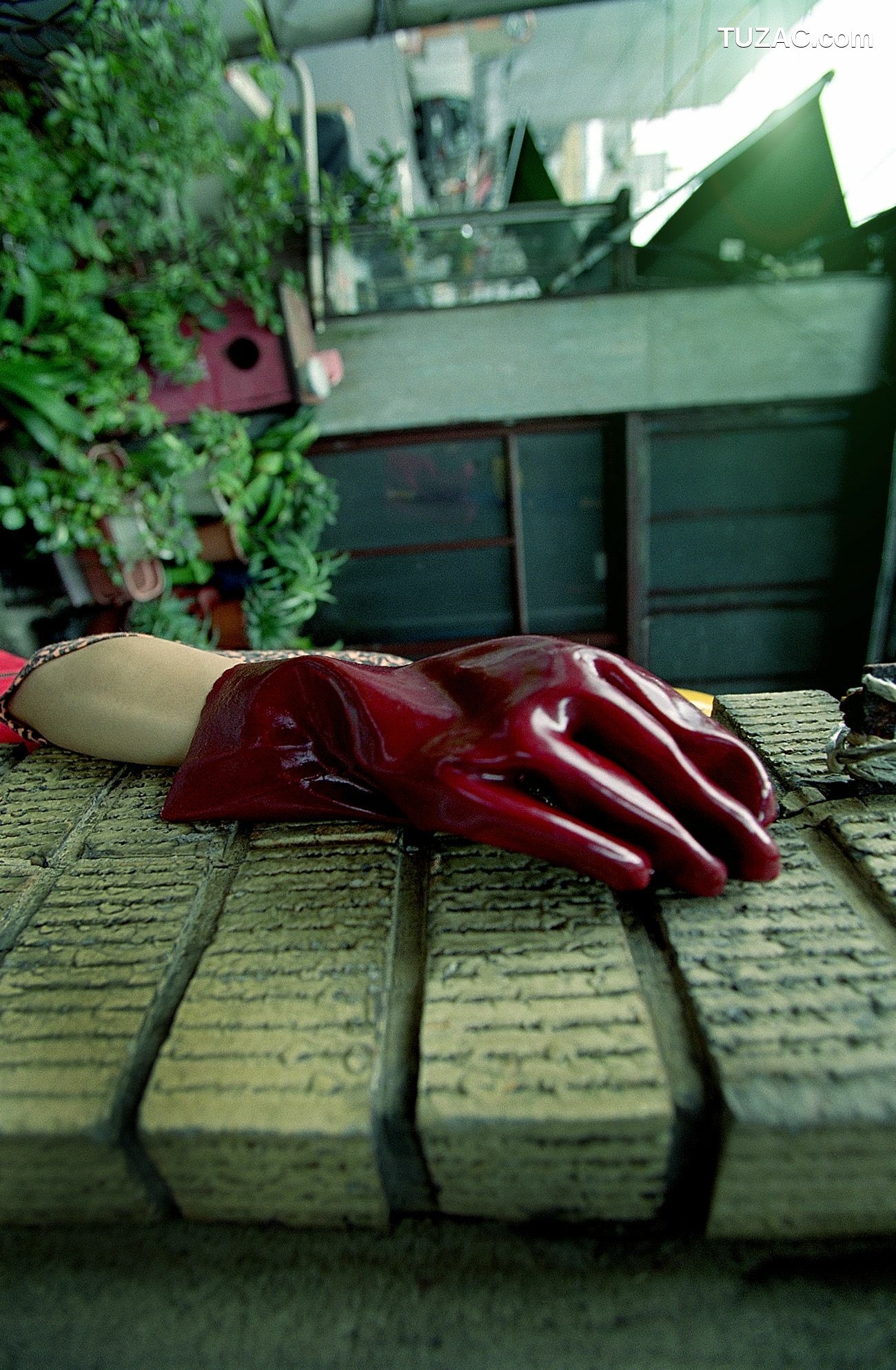 NS Eyes_ SF-No.198 Rina Uchiyama 内山理名 写真集[79P]