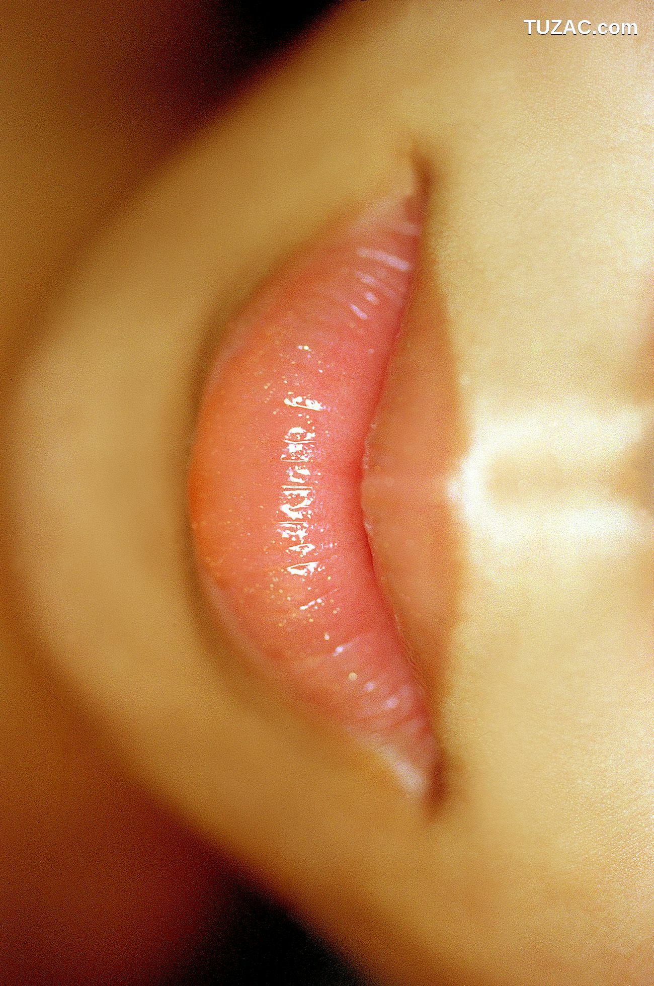 NS Eyes_ SF-No.198 Rina Uchiyama 内山理名 写真集[79P]