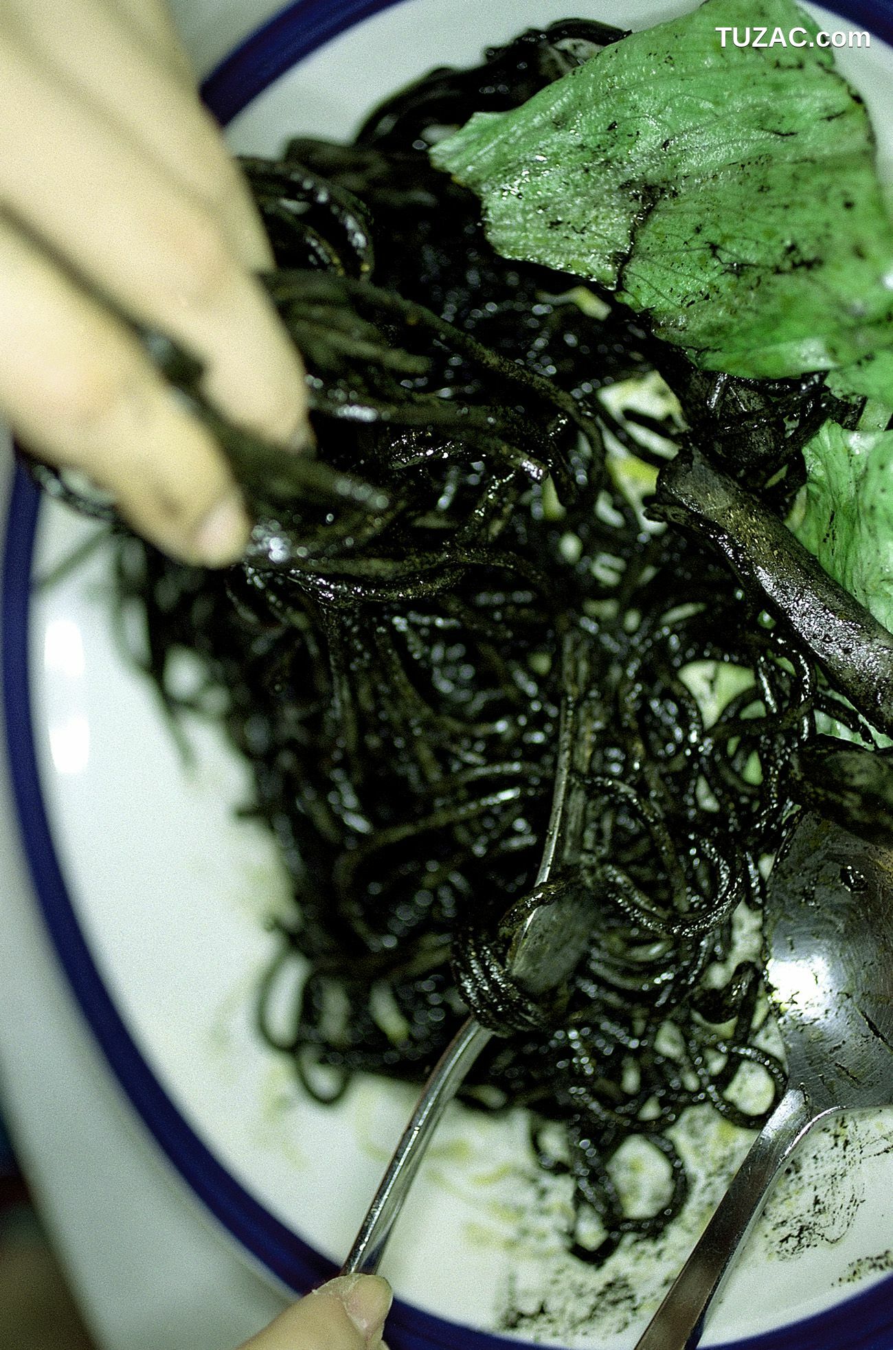 NS Eyes_ SF-No.199 Rina Uchiyama 内山理名/內山理名 写真集[92P]