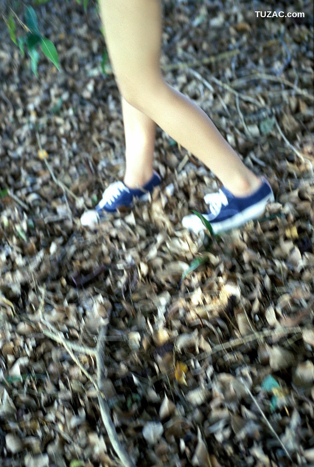 NS Eyes_ SF-No.201 Aki Nishihara 西原亚希 -UNDERAGE! 写真集[85P]