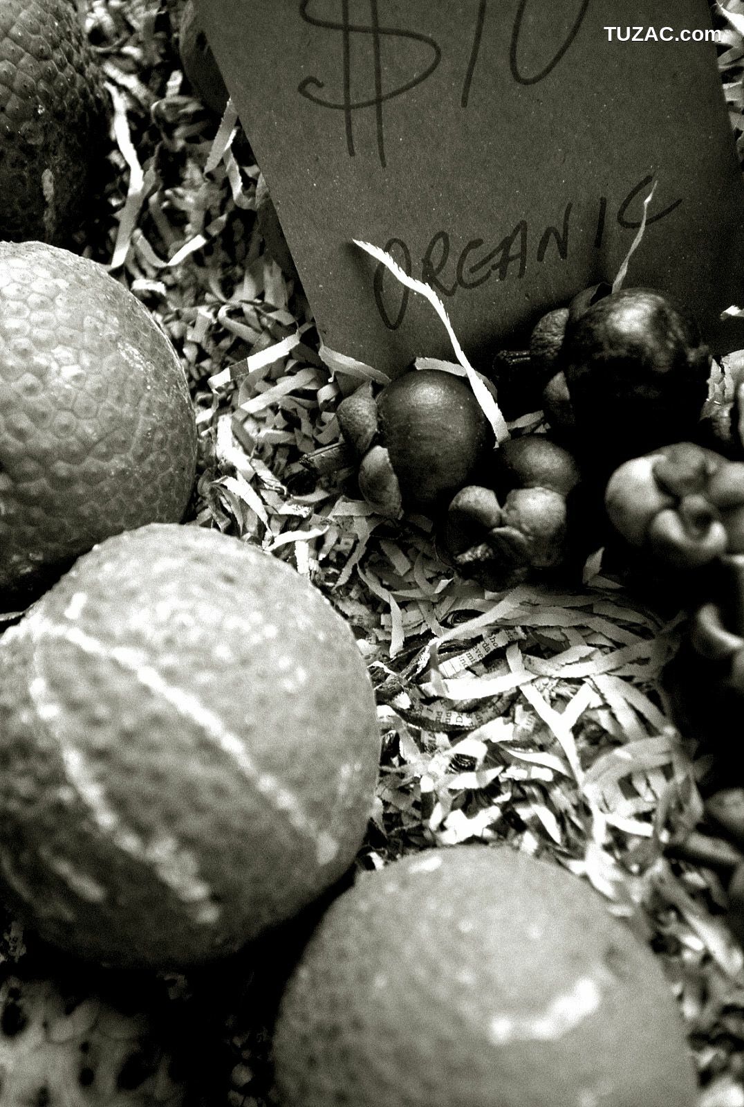 NS Eyes_ SF-No.204 Moemi Tominaga 富永萌美 -UNDERAGE! 写真集[94P]