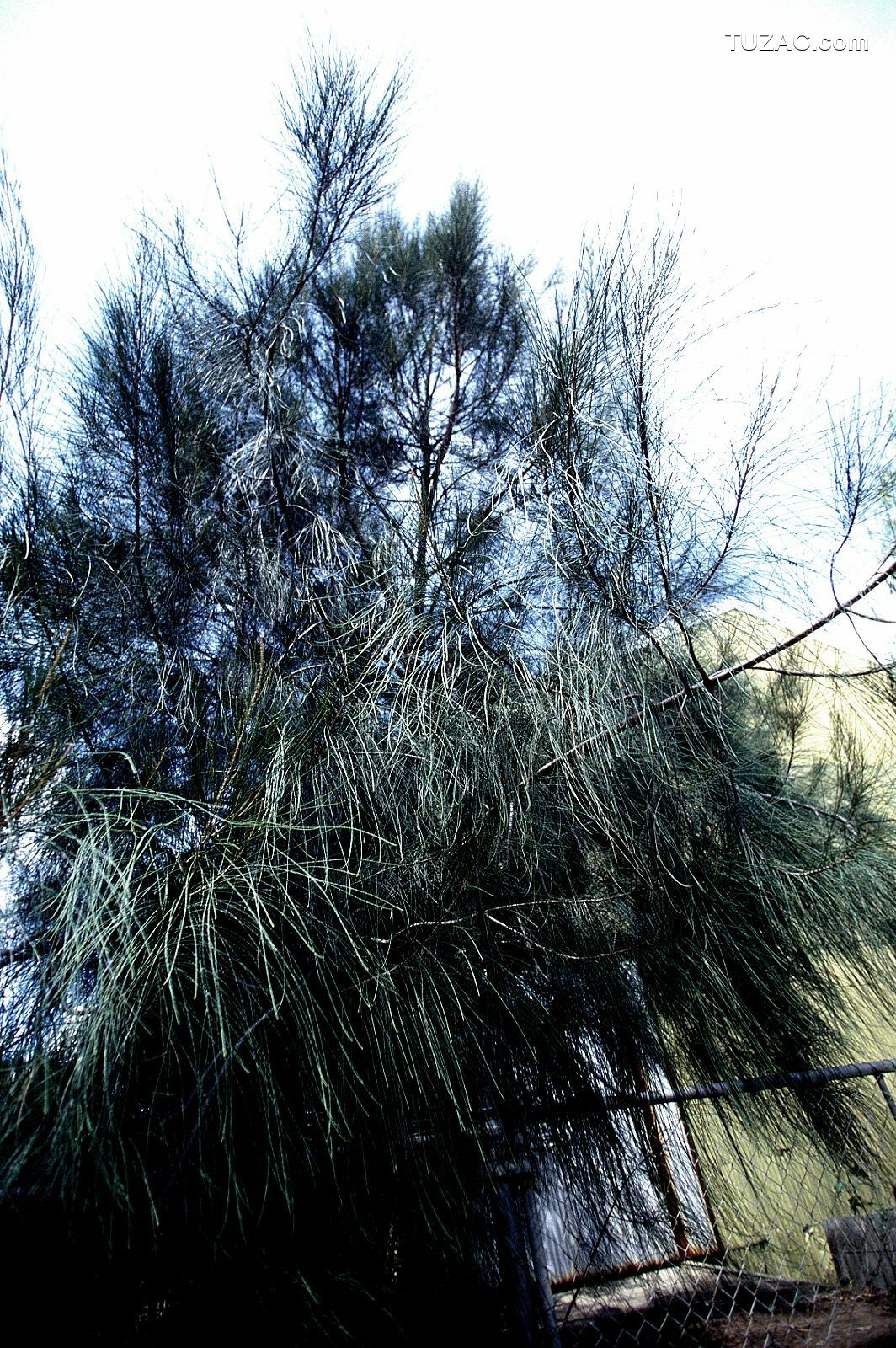 NS Eyes_ SF-No.204 Moemi Tominaga 富永萌美 -UNDERAGE! 写真集[94P]