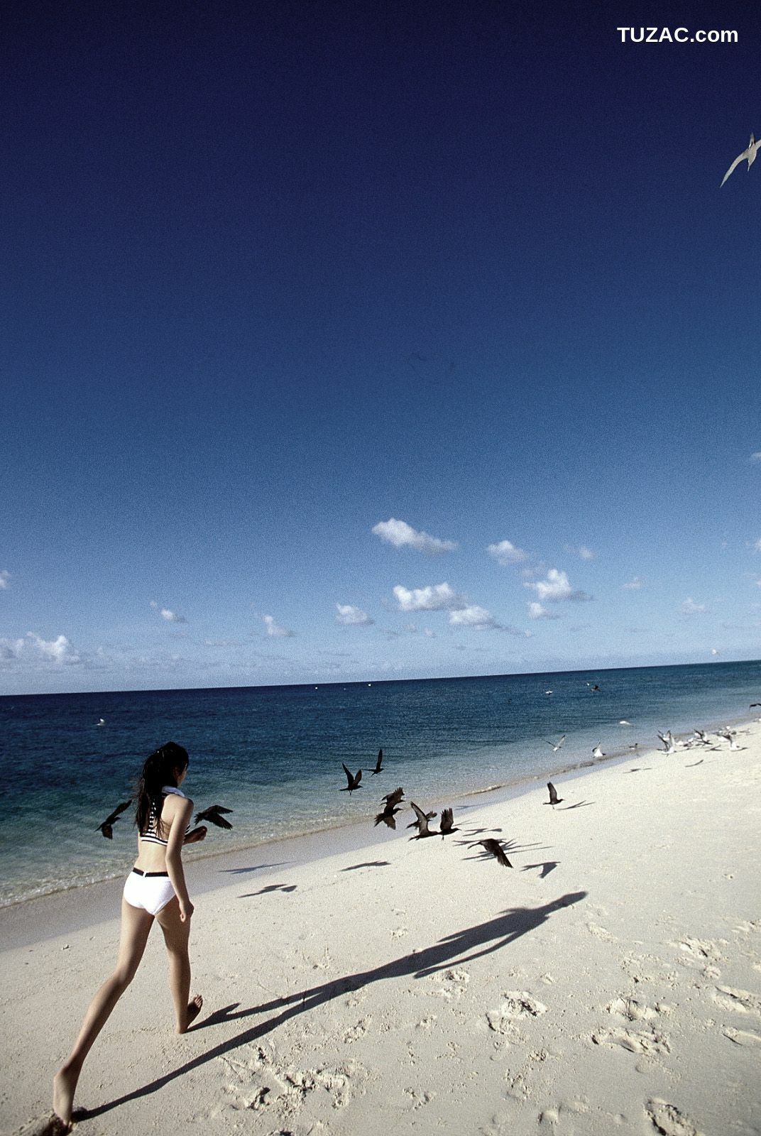 NS Eyes_ SF-No.204 Moemi Tominaga 富永萌美 -UNDERAGE! 写真集[94P]