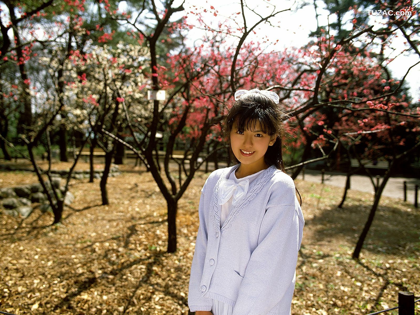 NS Eyes_ SF-No.212 Yoko Minamino 南野陽子 写真集[80P]