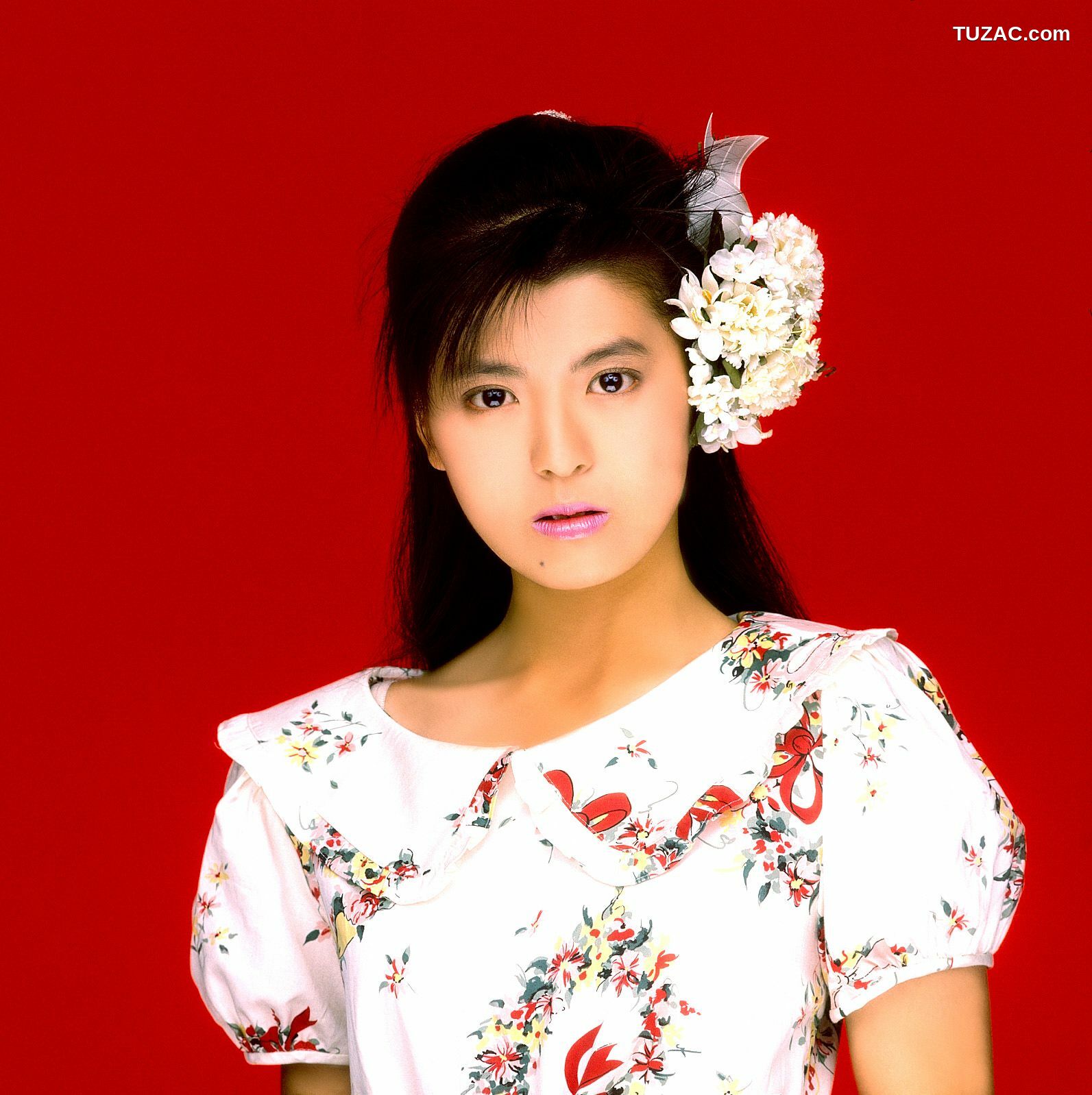 NS Eyes_ SF-No.214 Yoko Minamino 南野阳子 写真集[72P]