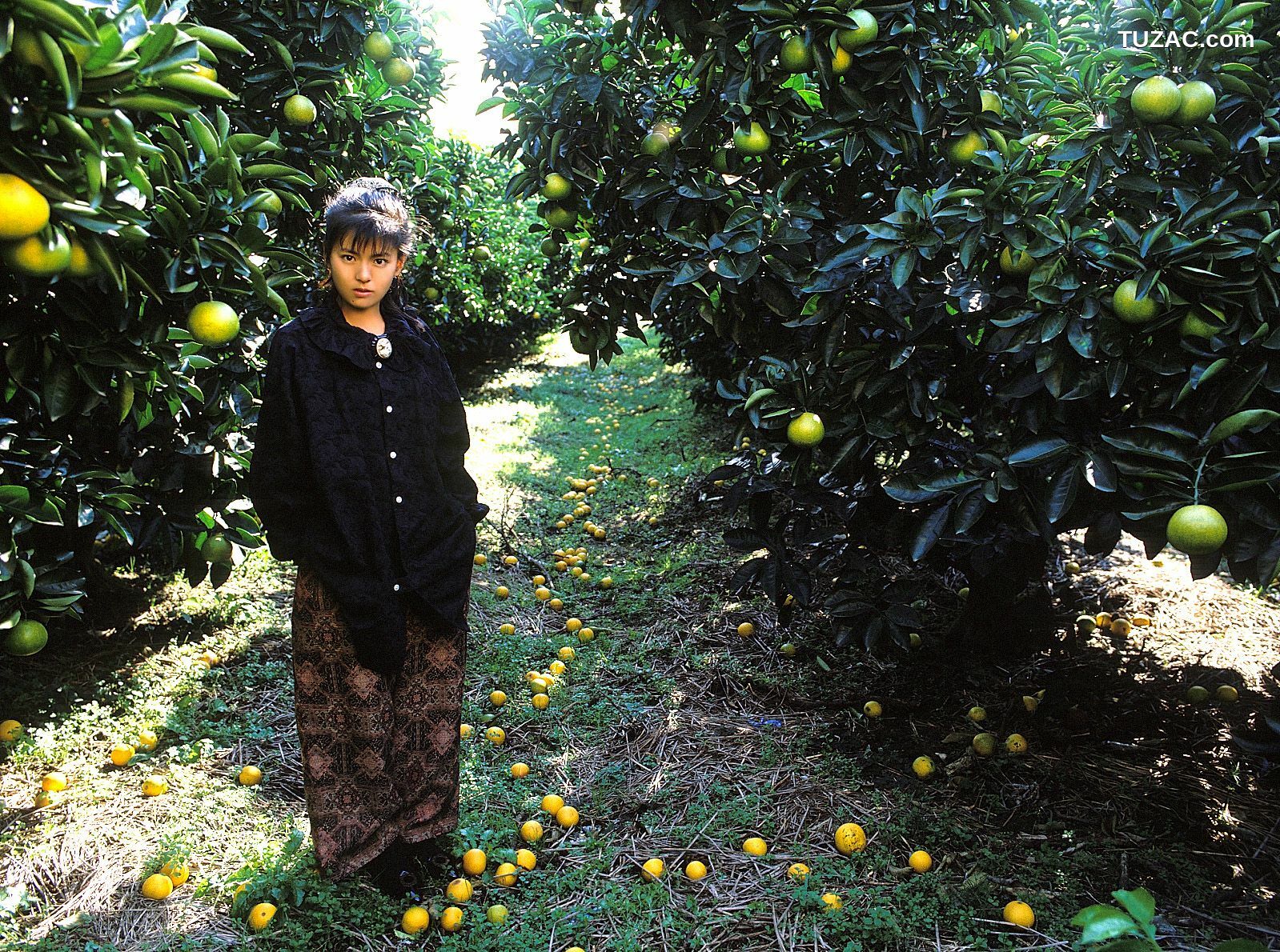 NS Eyes_ SF-No.214 Yoko Minamino 南野阳子 写真集[72P]