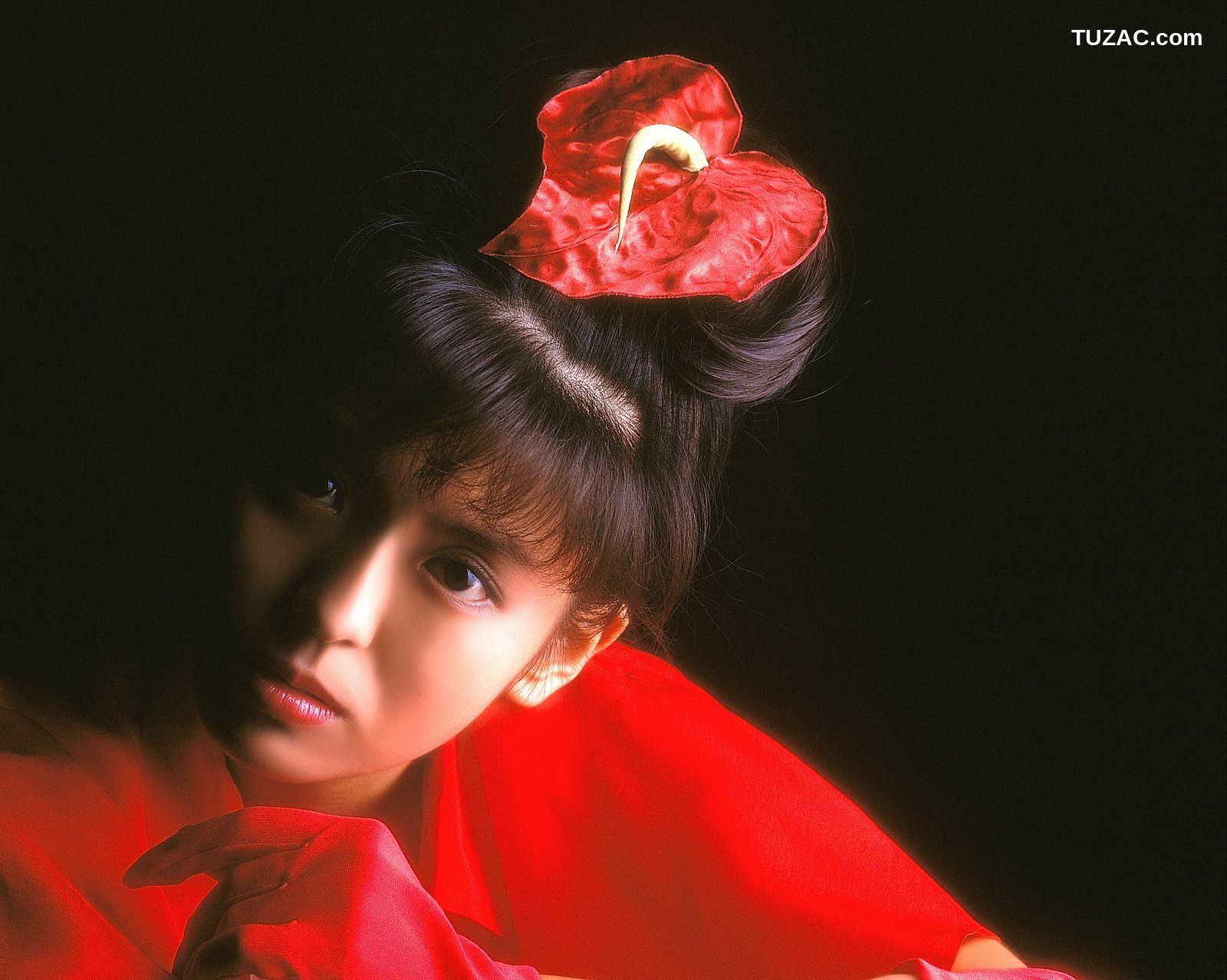 NS Eyes_ SF-No.215 Yoko Minamino 南野阳子 写真集[75P]