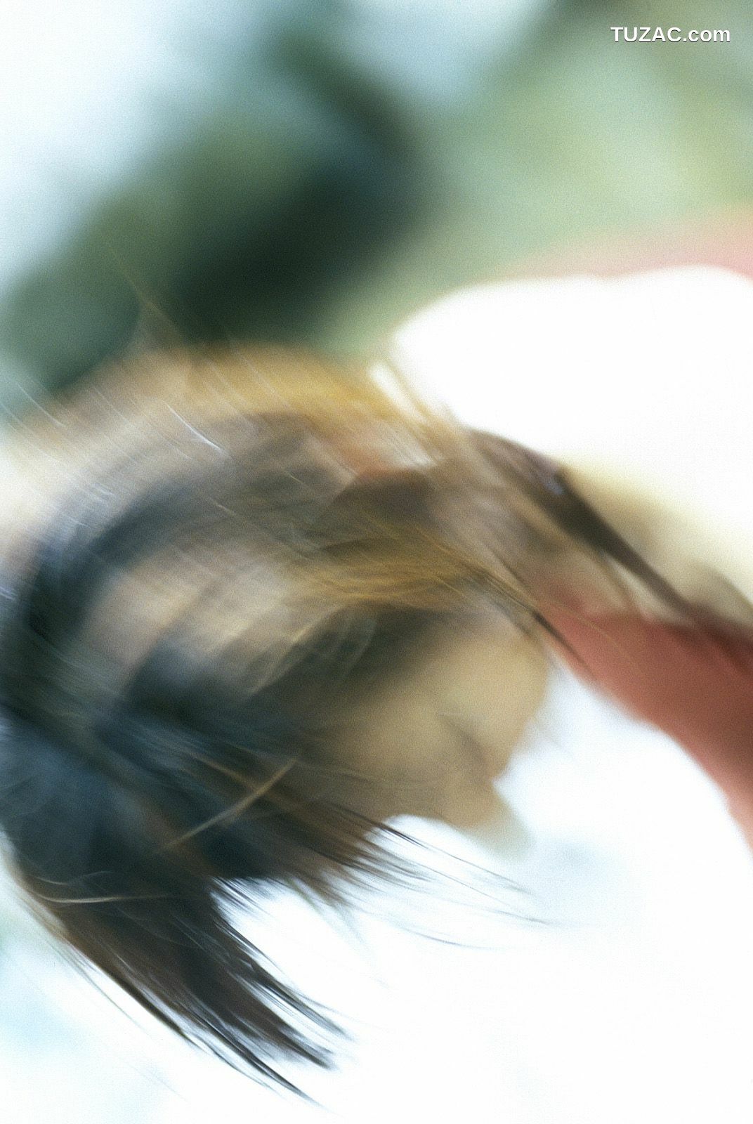 NS Eyes_ SF-No.219 Masako Umemiya 梅宮万紗子 写真集[61P]