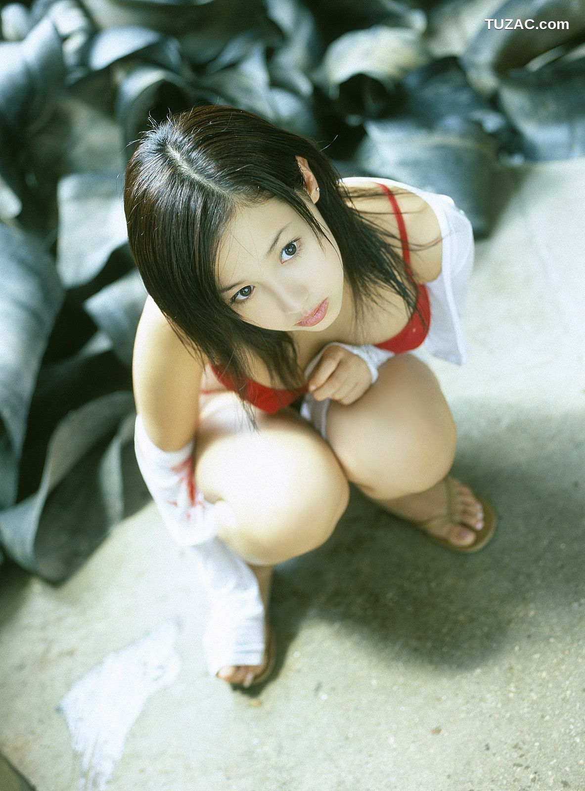 NS Eyes_ SF-No.223 Erika Sawajiri 沢尻エリカ/泽尻绘理香 写真集[82P]