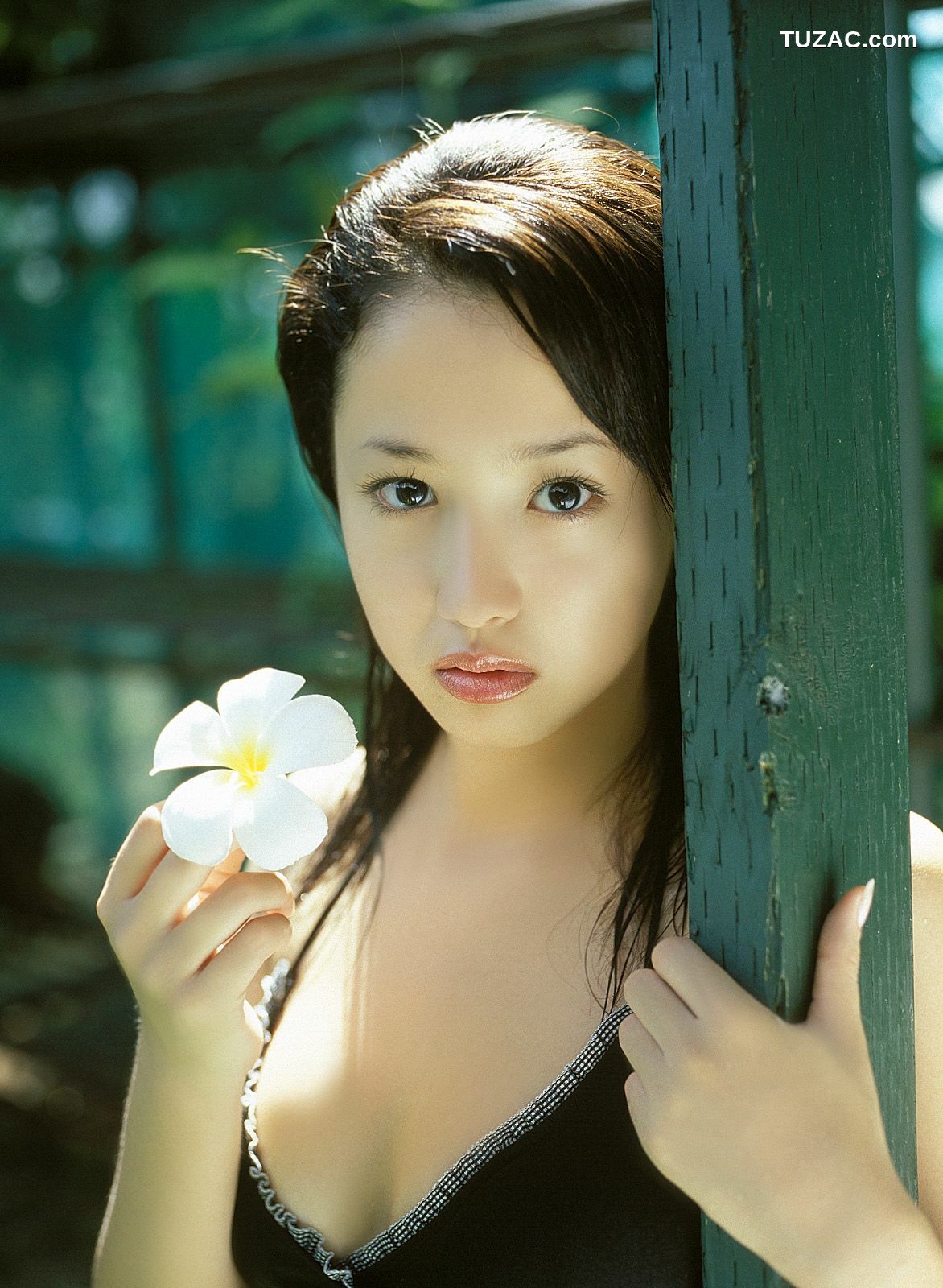 NS Eyes_ SF-No.223 Erika Sawajiri 沢尻エリカ/泽尻绘理香 写真集[82P]