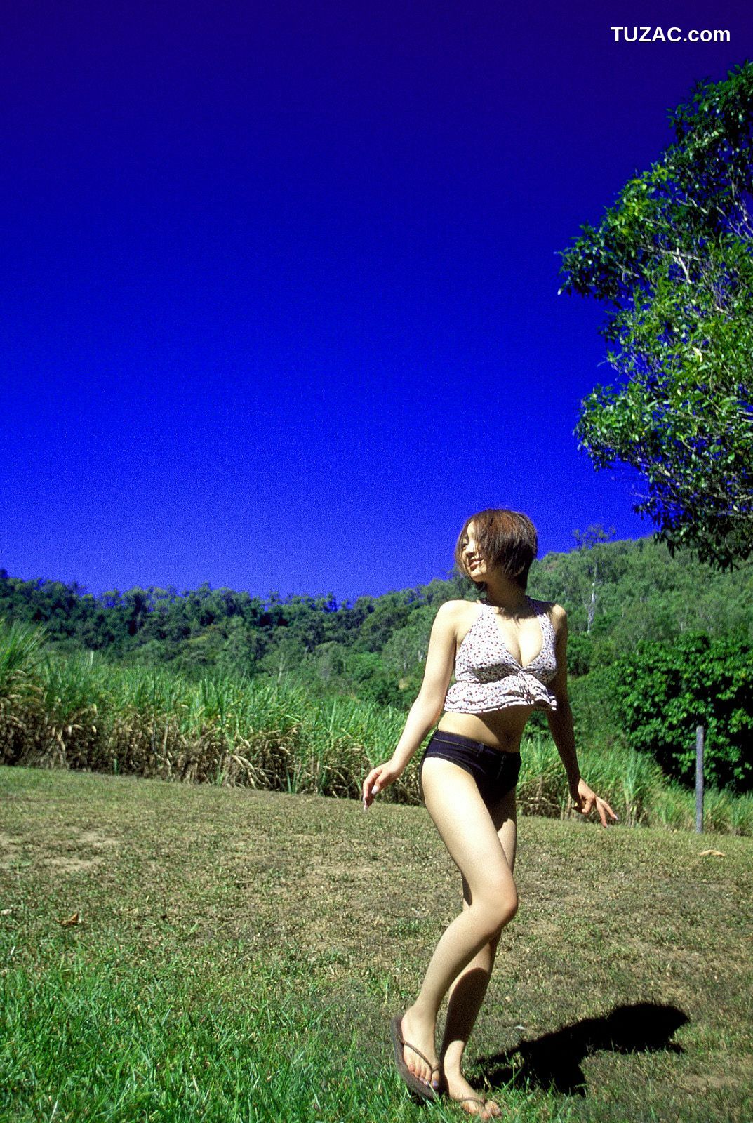 NS Eyes_ SF-No.225 Noriko Sagara 相楽のり子 写真集[100P]