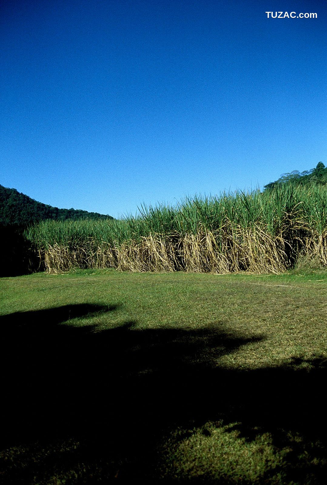 NS Eyes_ SF-No.225 Noriko Sagara 相楽のり子 写真集[100P]