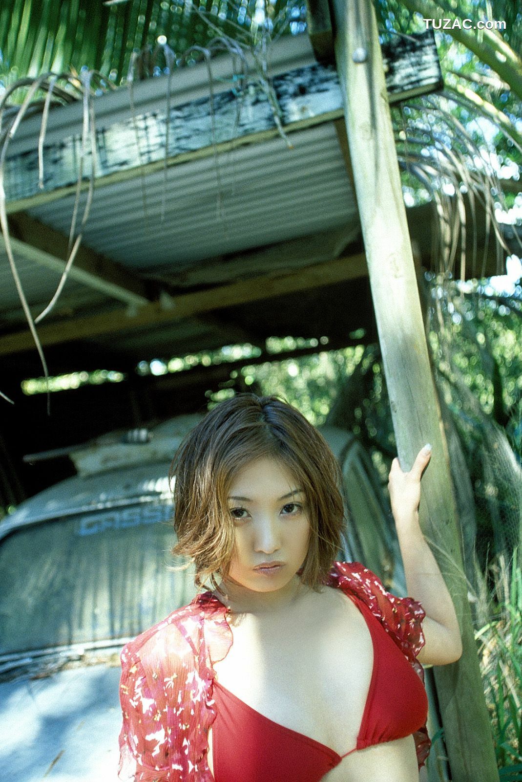NS Eyes_ SF-No.225 Noriko Sagara 相楽のり子 写真集[100P]