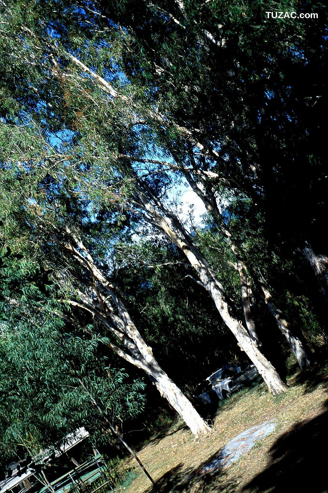 NS Eyes_ SF-No.225 Noriko Sagara 相楽のり子 写真集[100P]