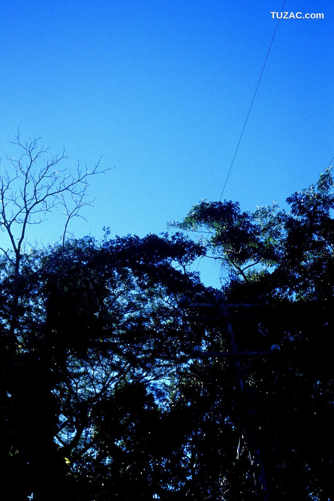 NS Eyes_ SF-No.225 Noriko Sagara 相楽のり子 写真集[100P]