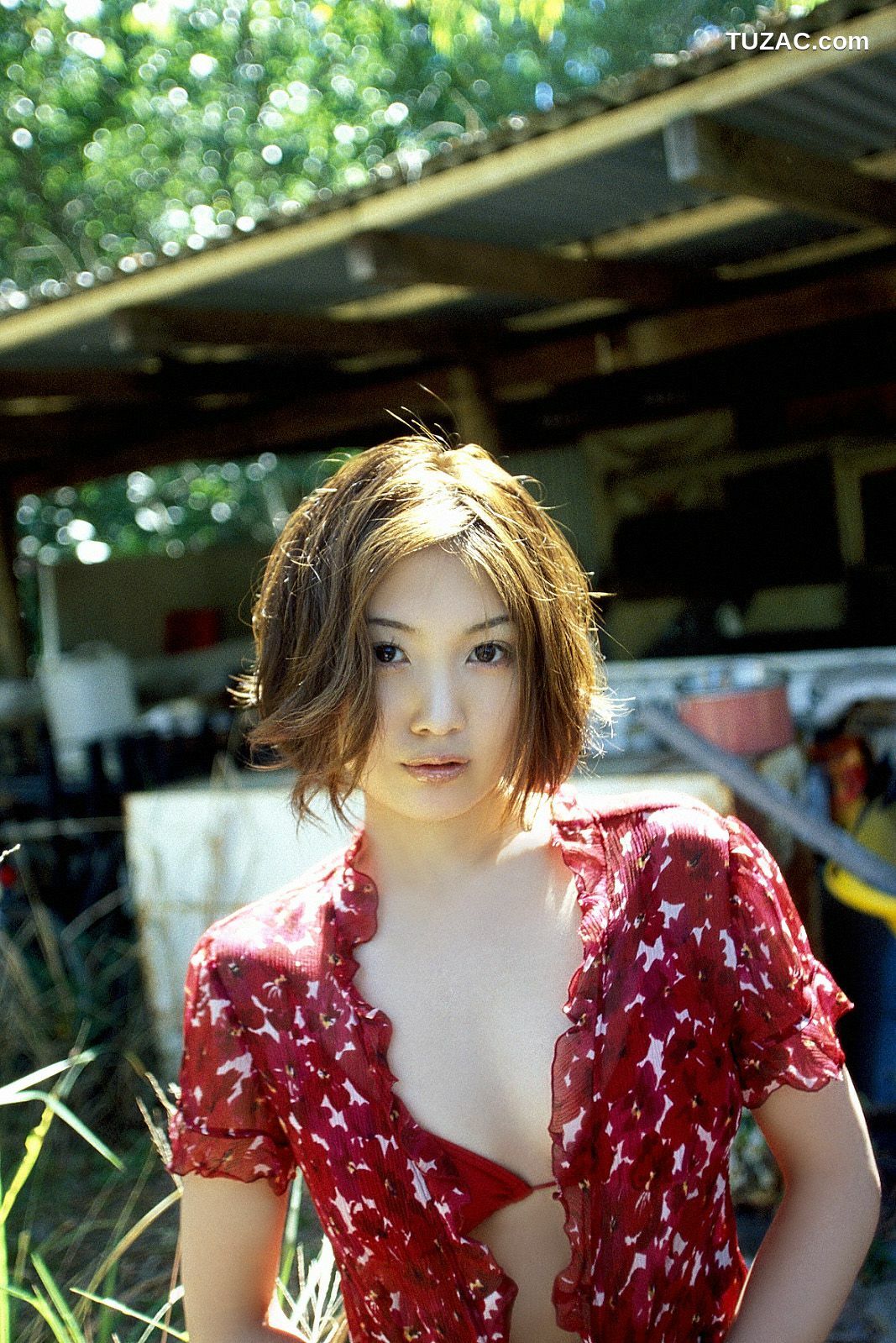 NS Eyes_ SF-No.225 Noriko Sagara 相楽のり子 写真集[100P]