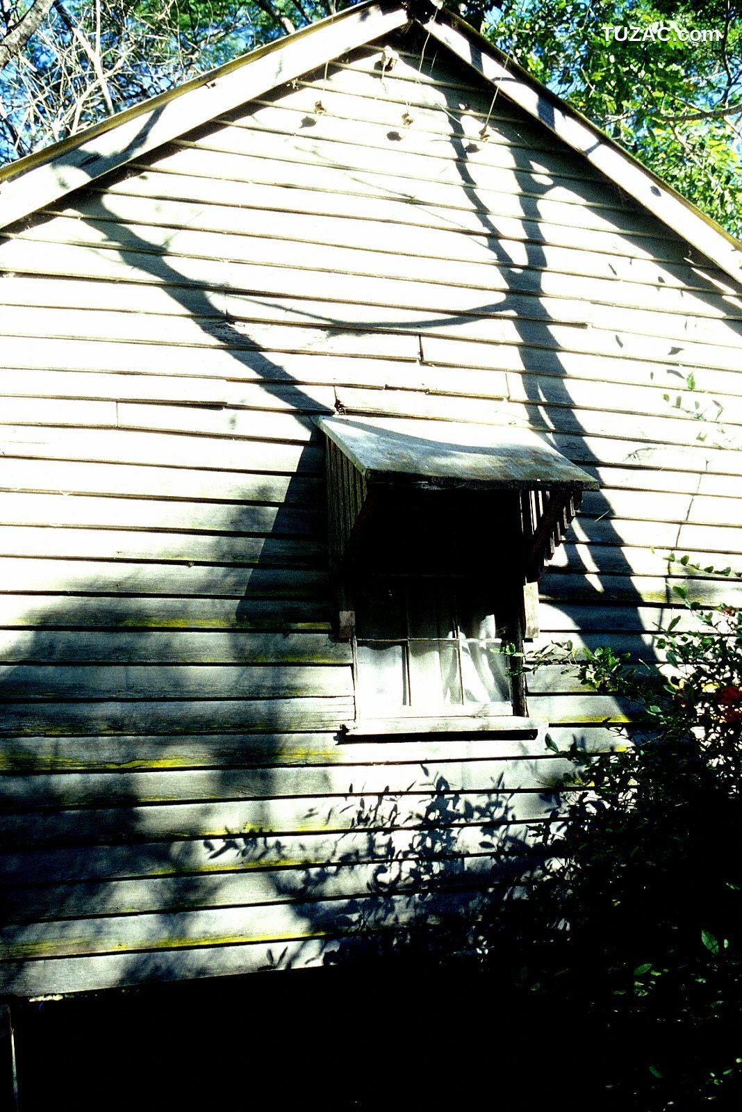 NS Eyes_ SF-No.225 Noriko Sagara 相楽のり子 写真集[100P]