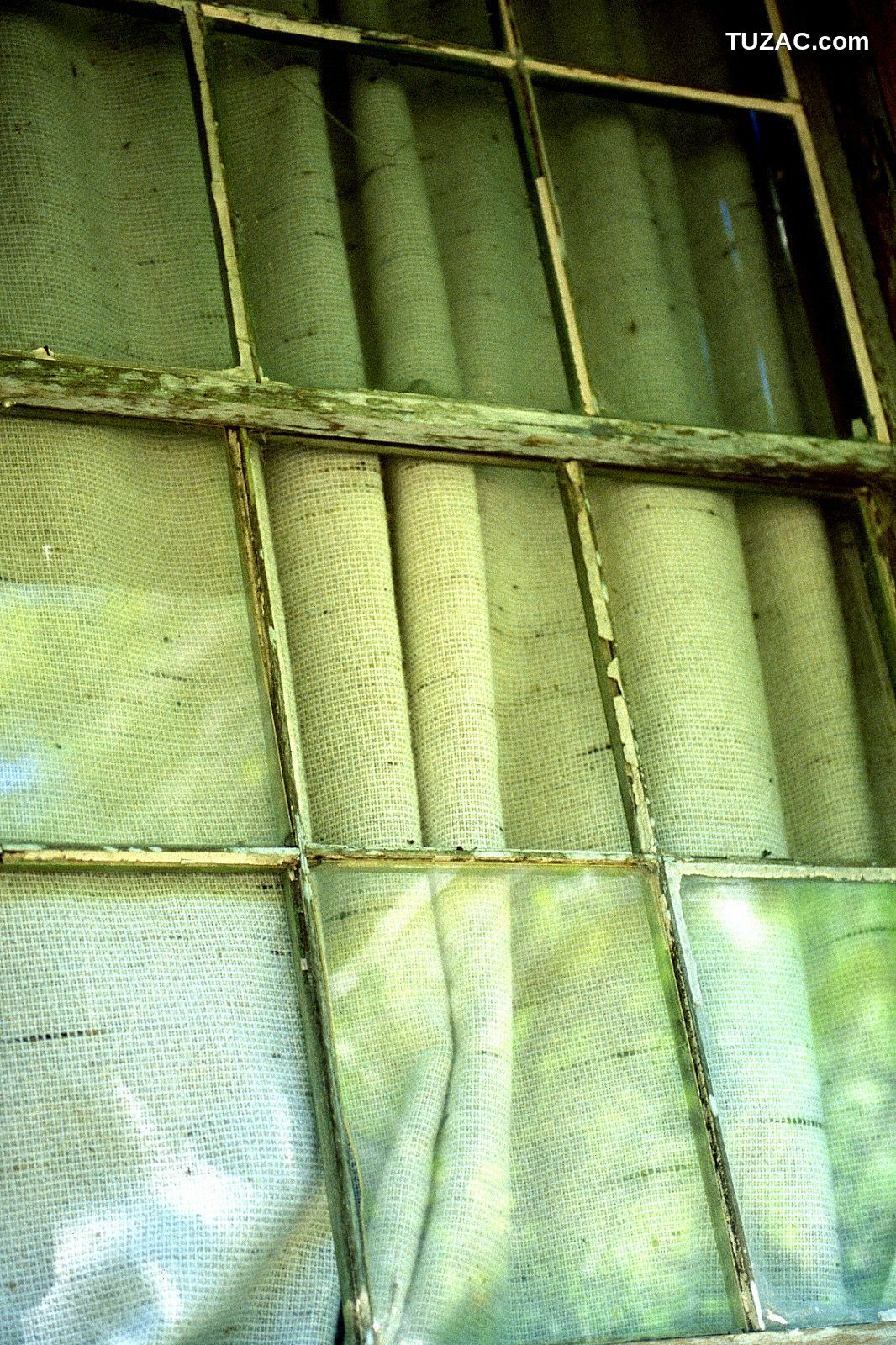 NS Eyes_ SF-No.225 Noriko Sagara 相楽のり子 写真集[100P]