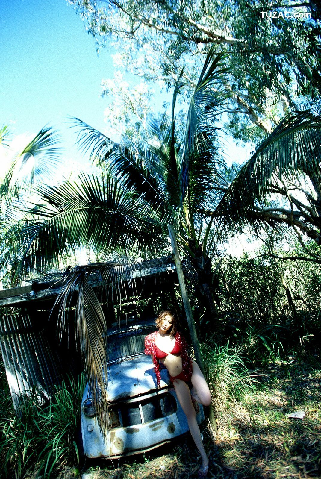 NS Eyes_ SF-No.225 Noriko Sagara 相楽のり子 写真集[100P]