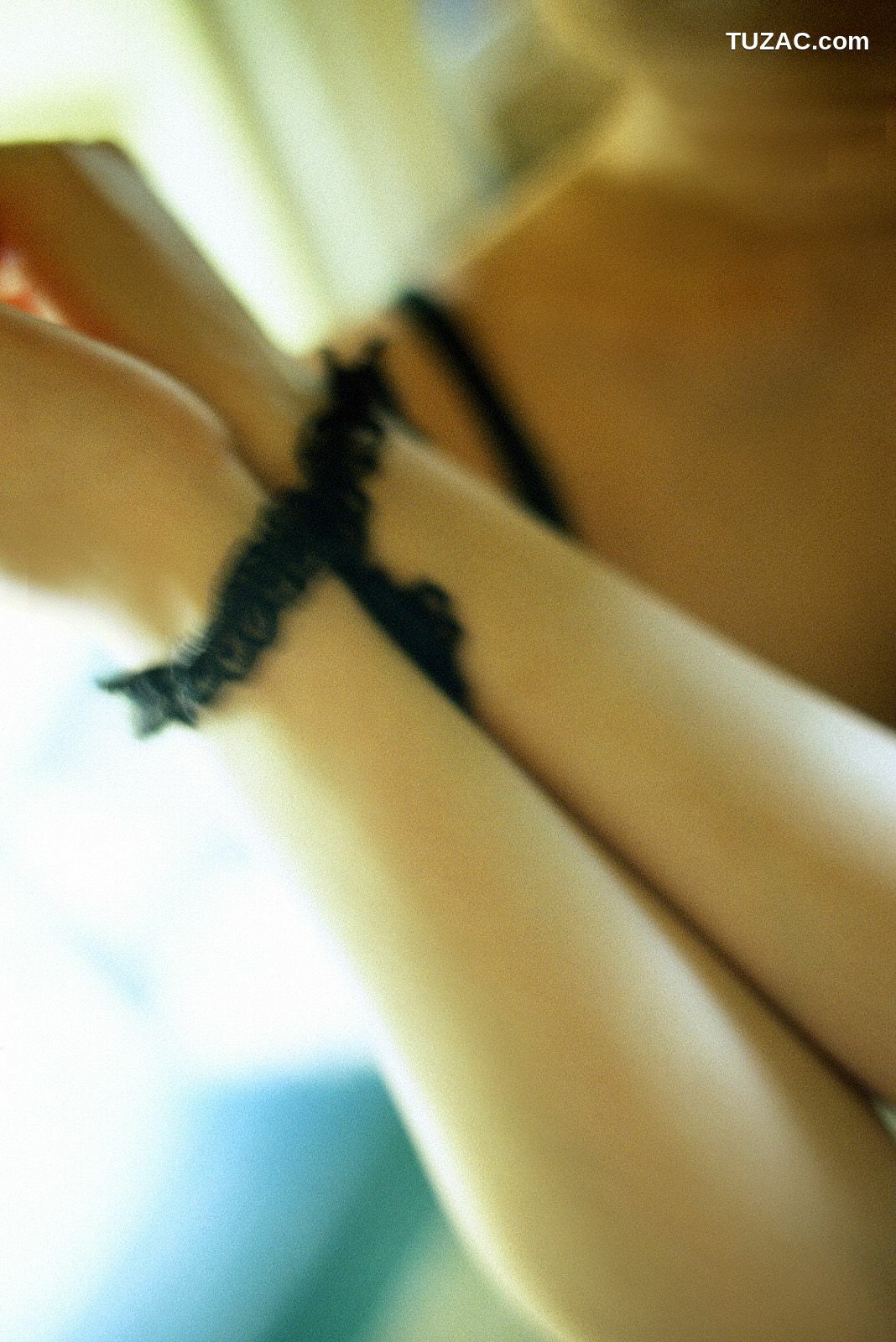 NS Eyes_ SF-No.225 Noriko Sagara 相楽のり子 写真集[100P]