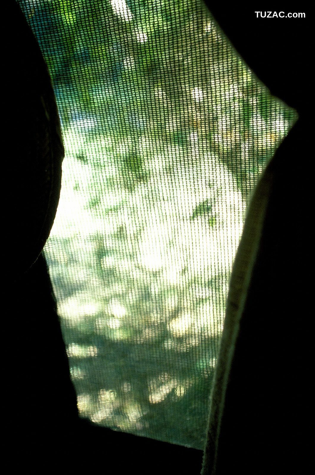 NS Eyes_ SF-No.225 Noriko Sagara 相楽のり子 写真集[100P]