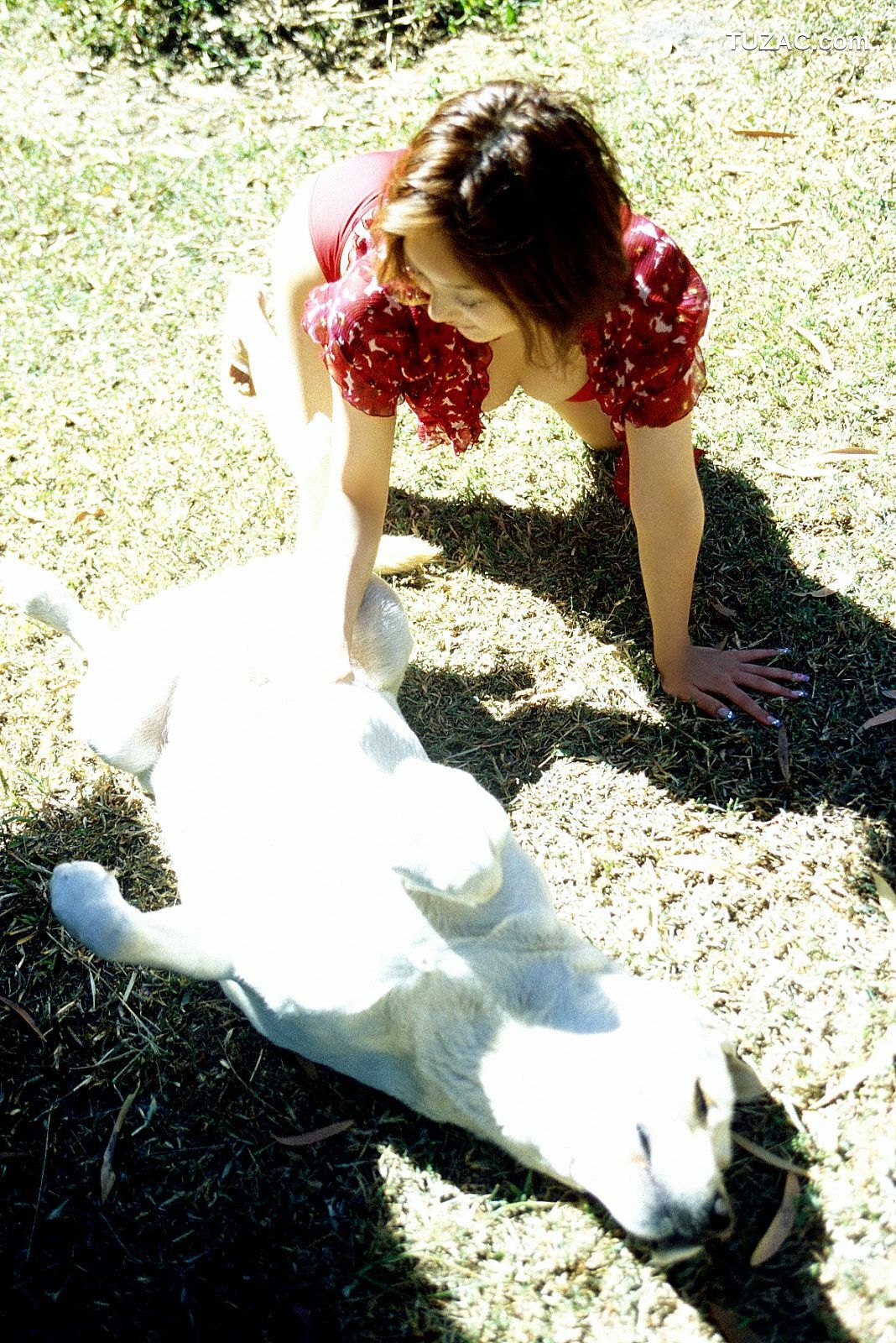 NS Eyes_ SF-No.225 Noriko Sagara 相楽のり子 写真集[100P]